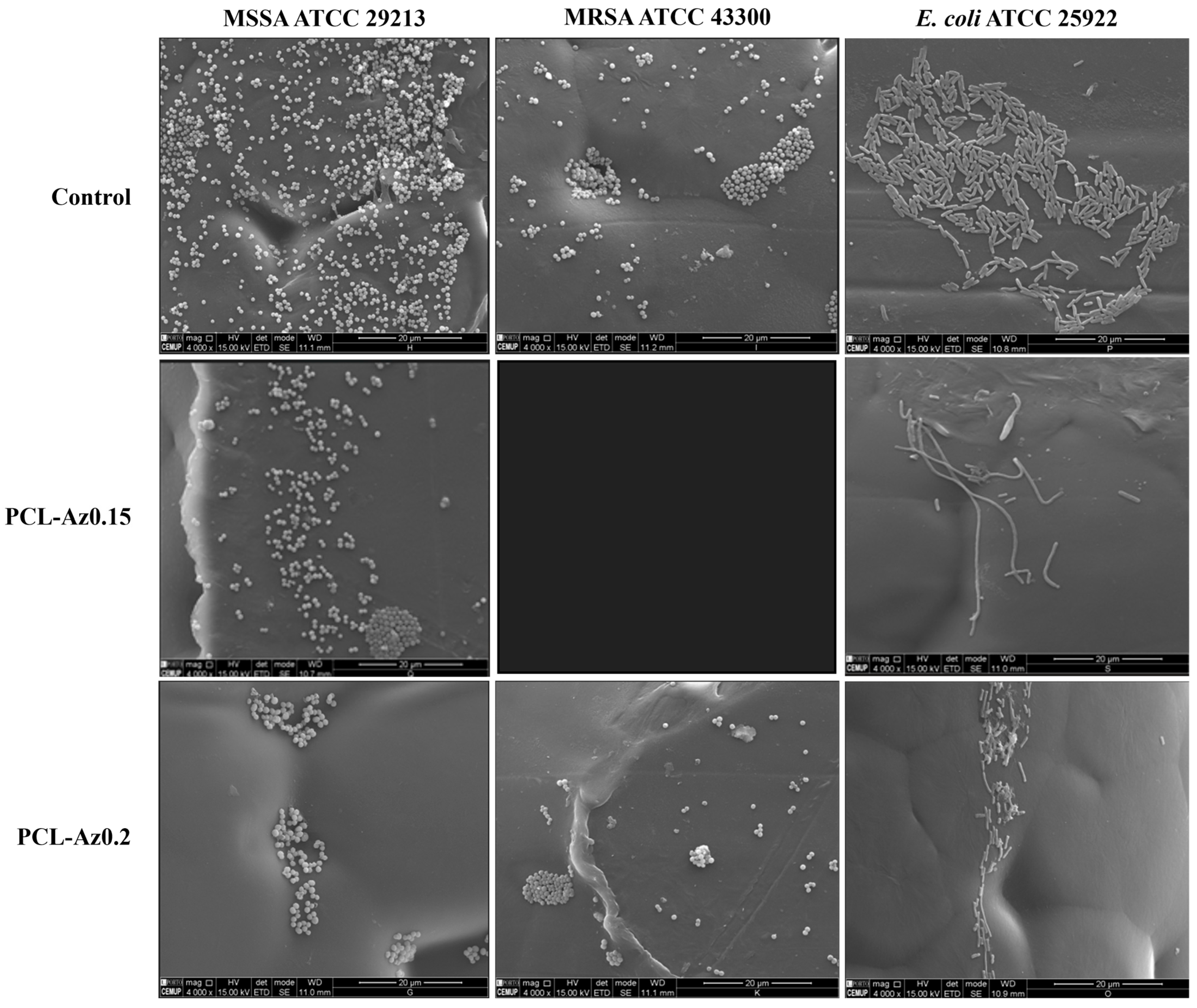 Applsci 15 09436 g013