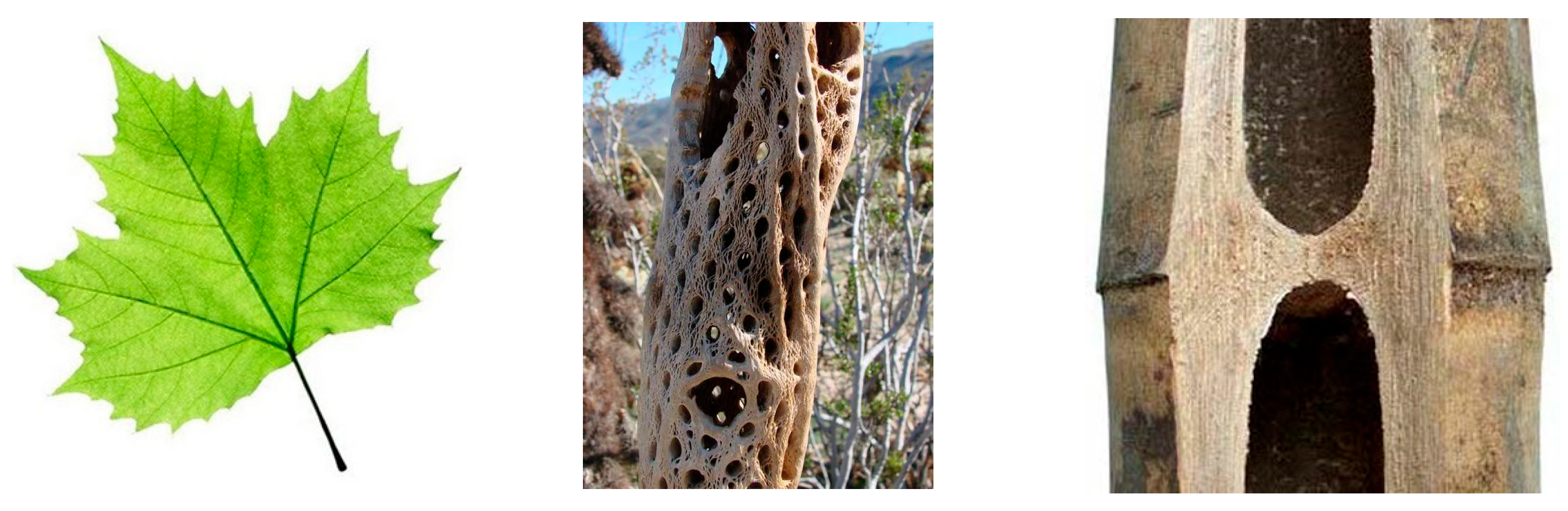 Applsci 15 09449 g004