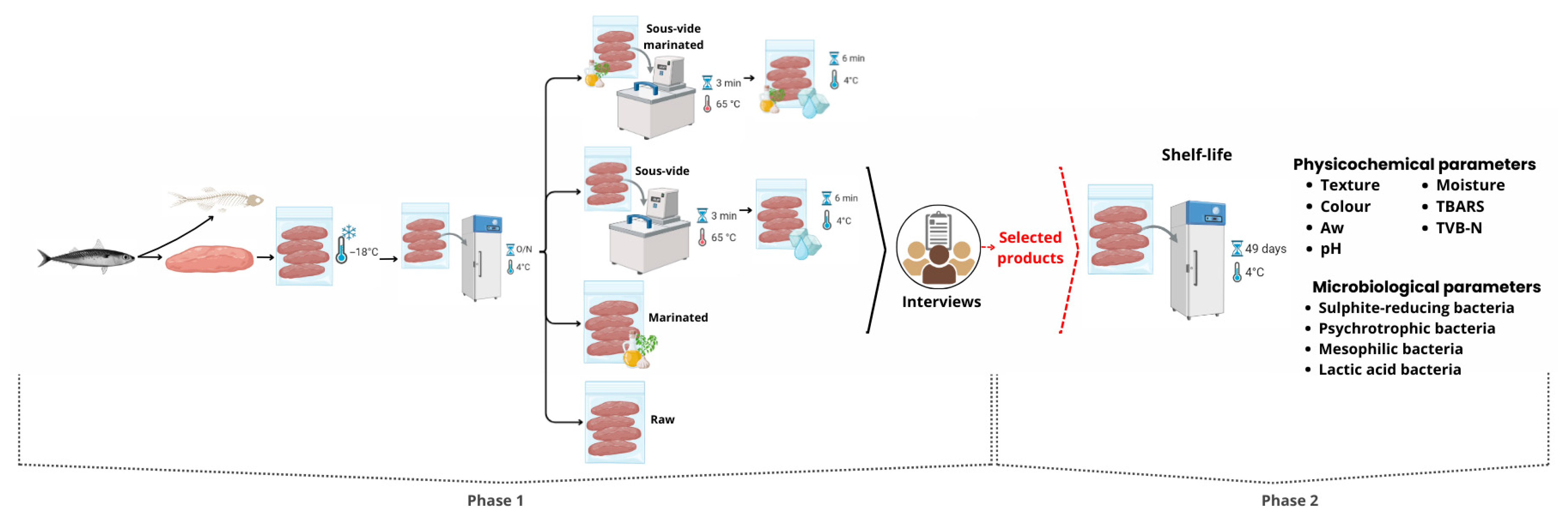 Applsci 15 09455 g001