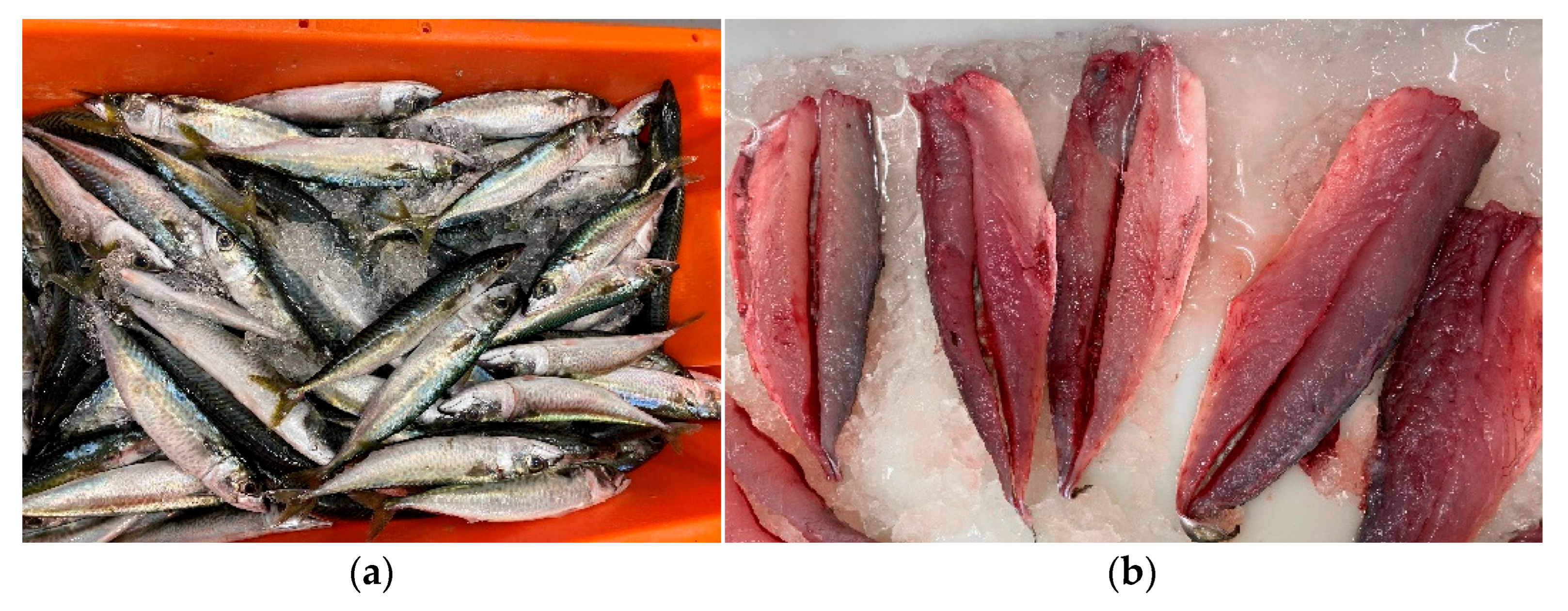 Applsci 15 09455 g002