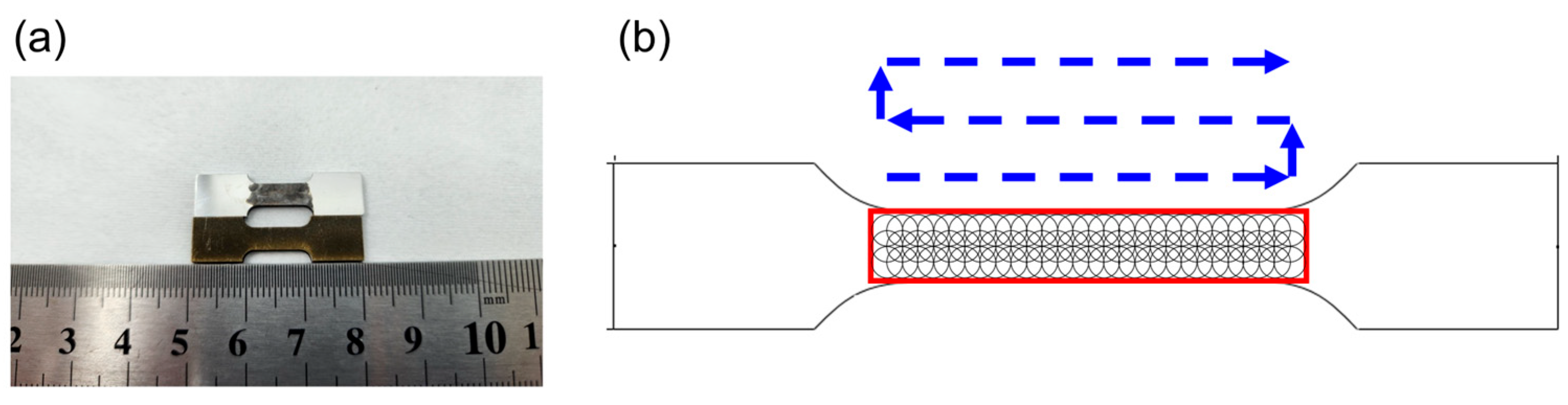 Applsci 15 09481 g005 Applsci 15 09481 g005