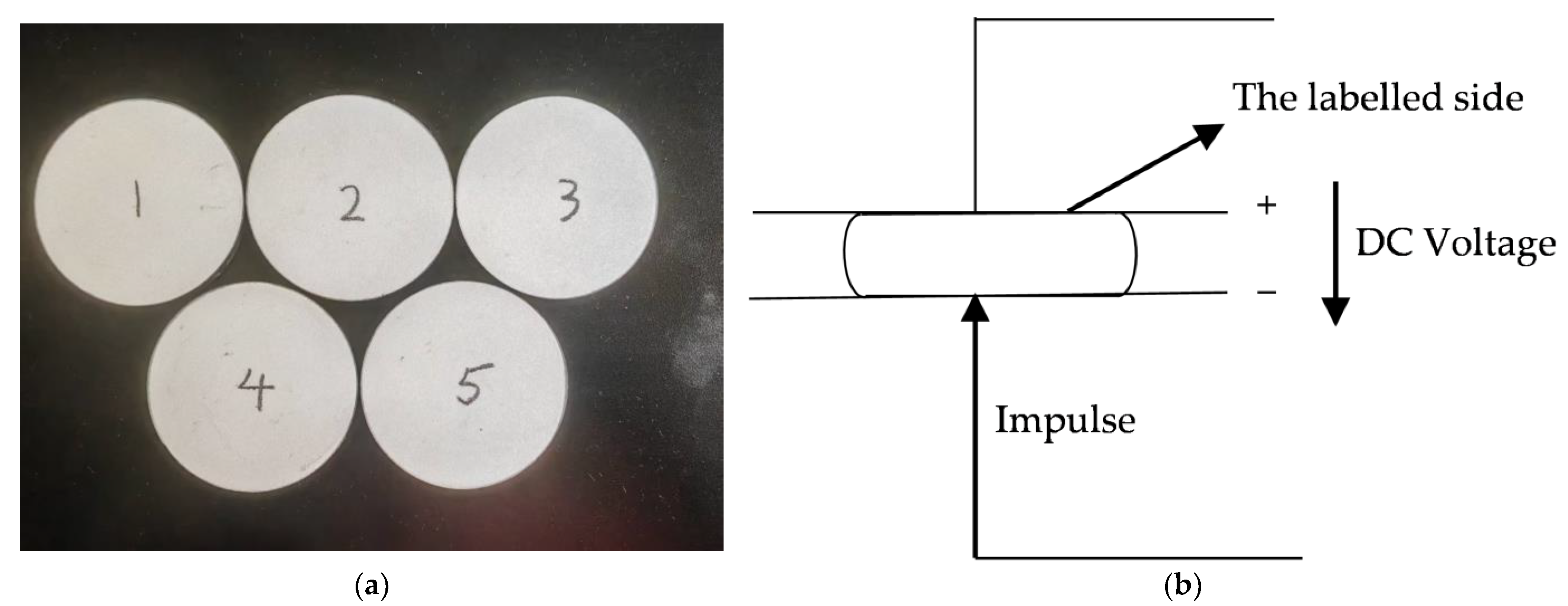 Applsci 15 09484 g003 Applsci 15 09484 g003