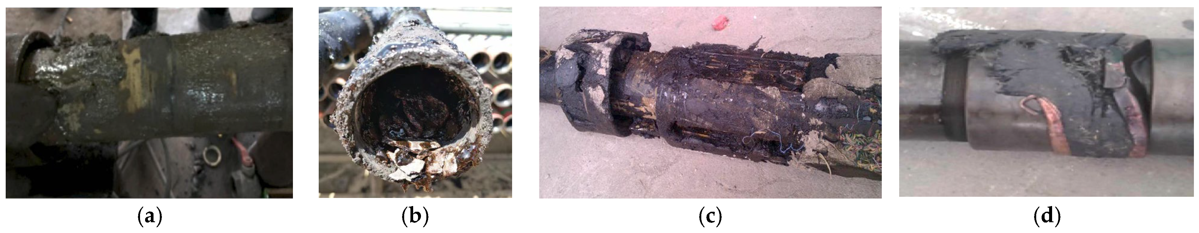 Applsci 15 09492 g002