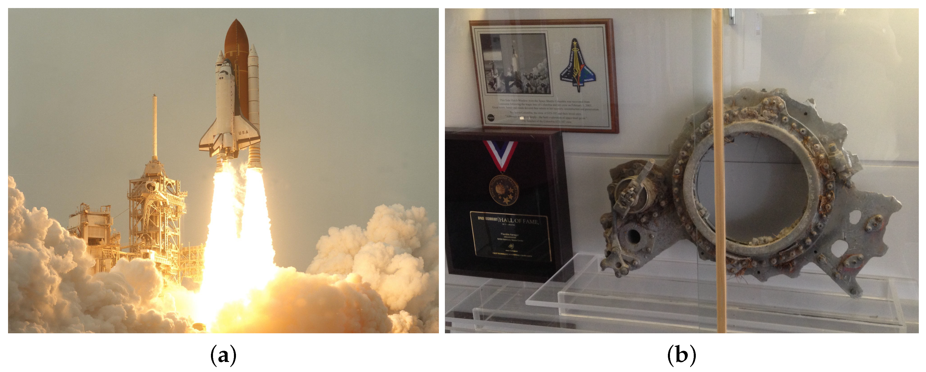 Applsci 15 09519 g001