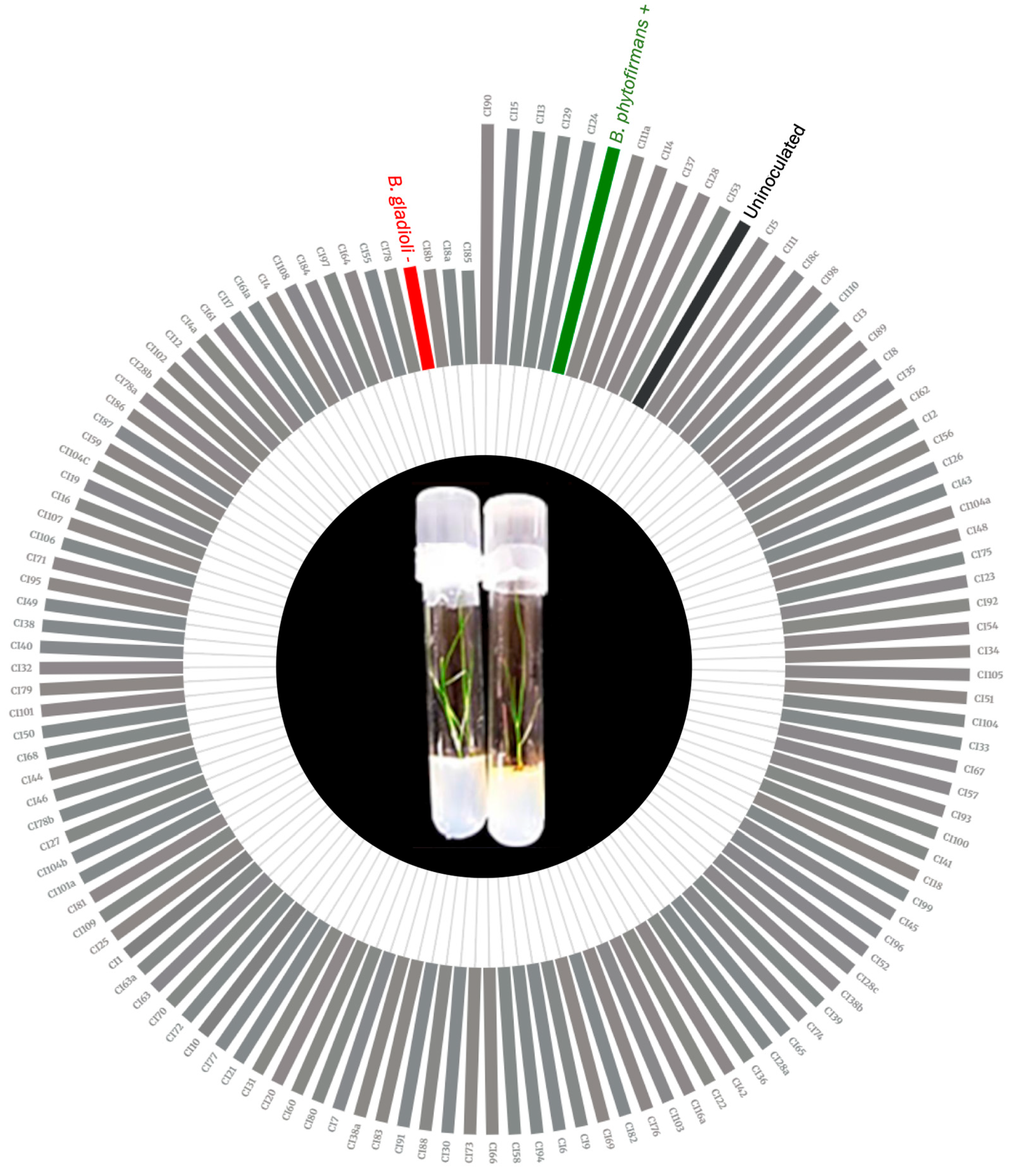 Applsci 15 09545 g003