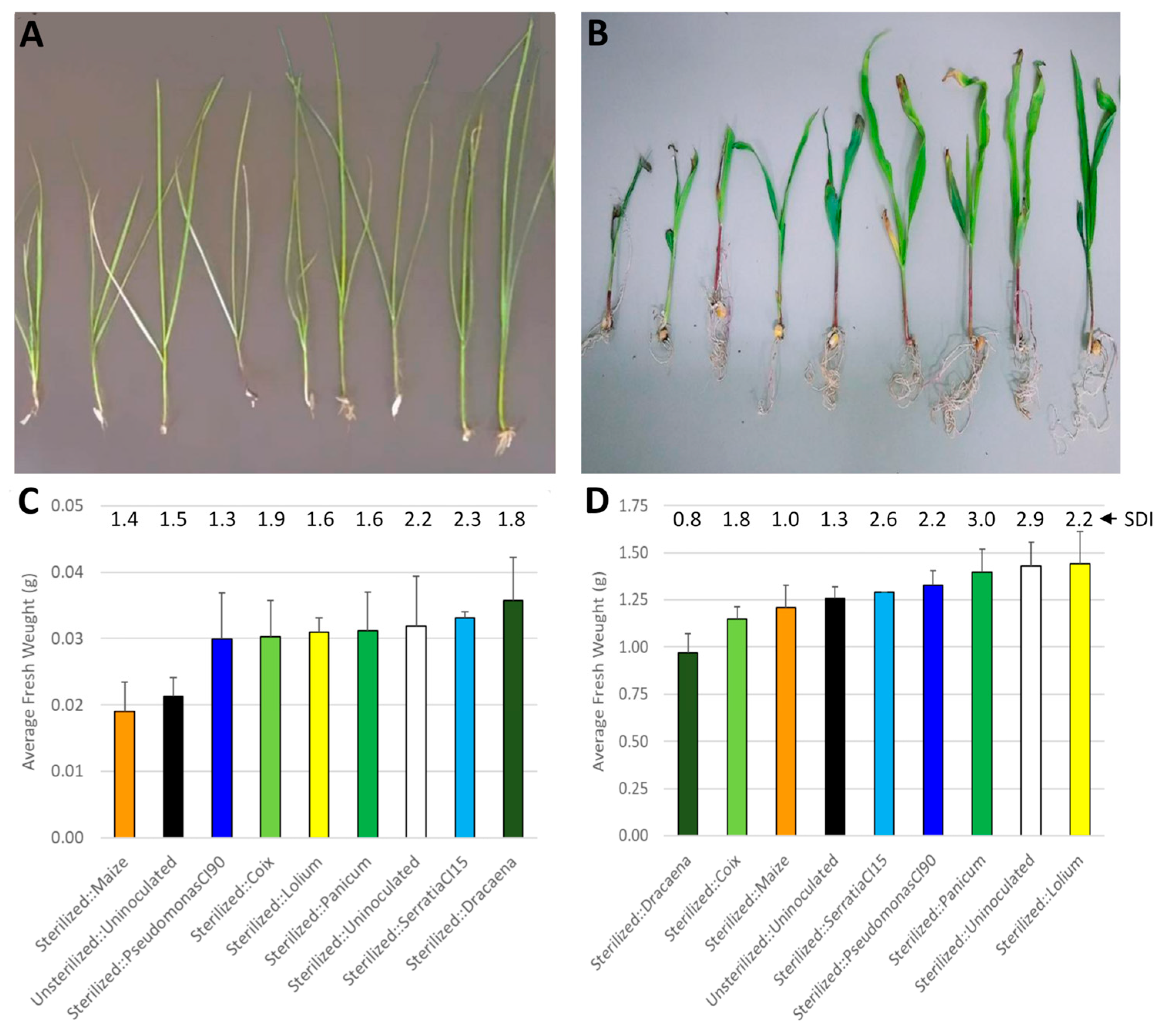 Applsci 15 09545 g004