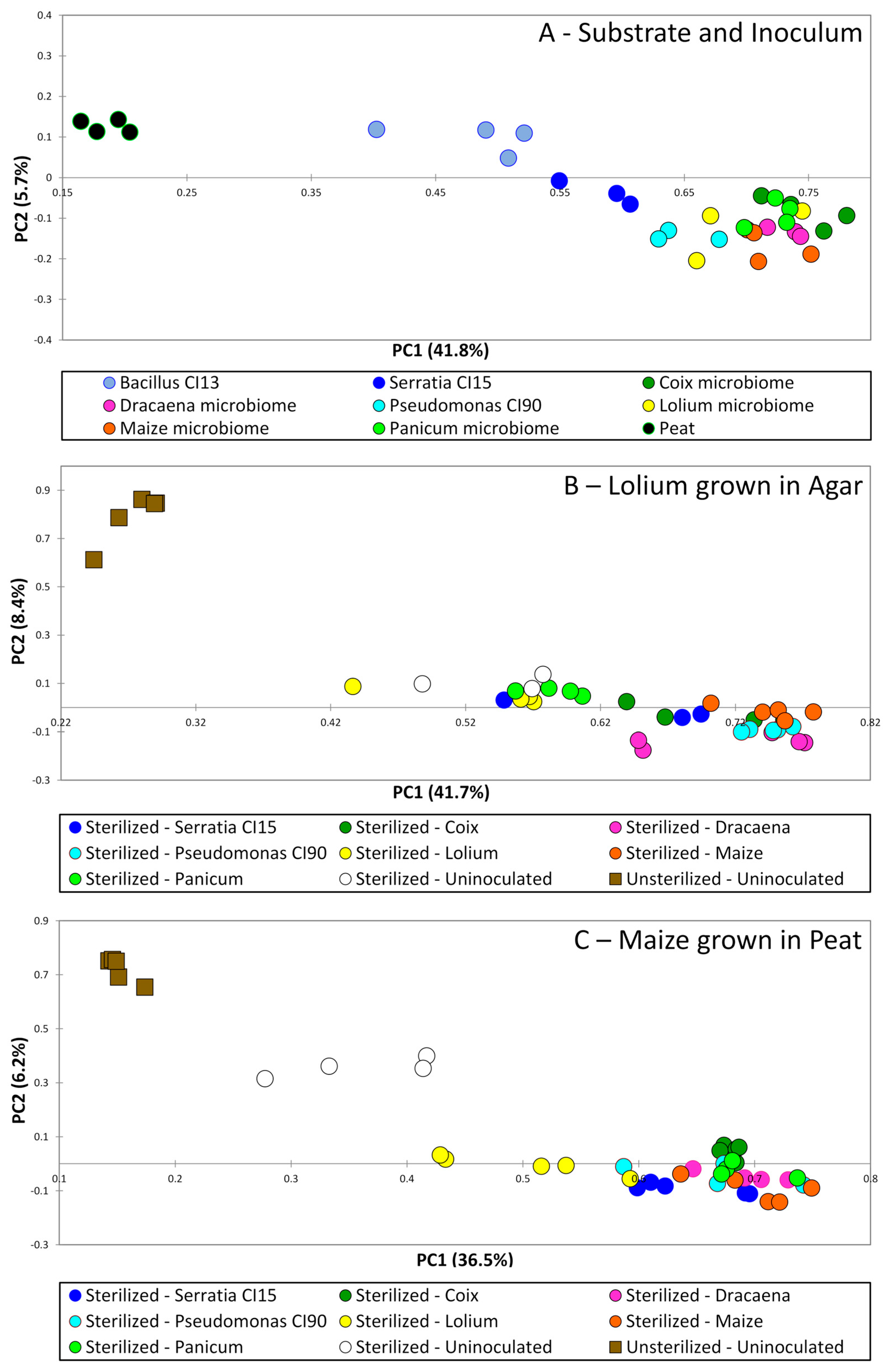 Applsci 15 09545 g005