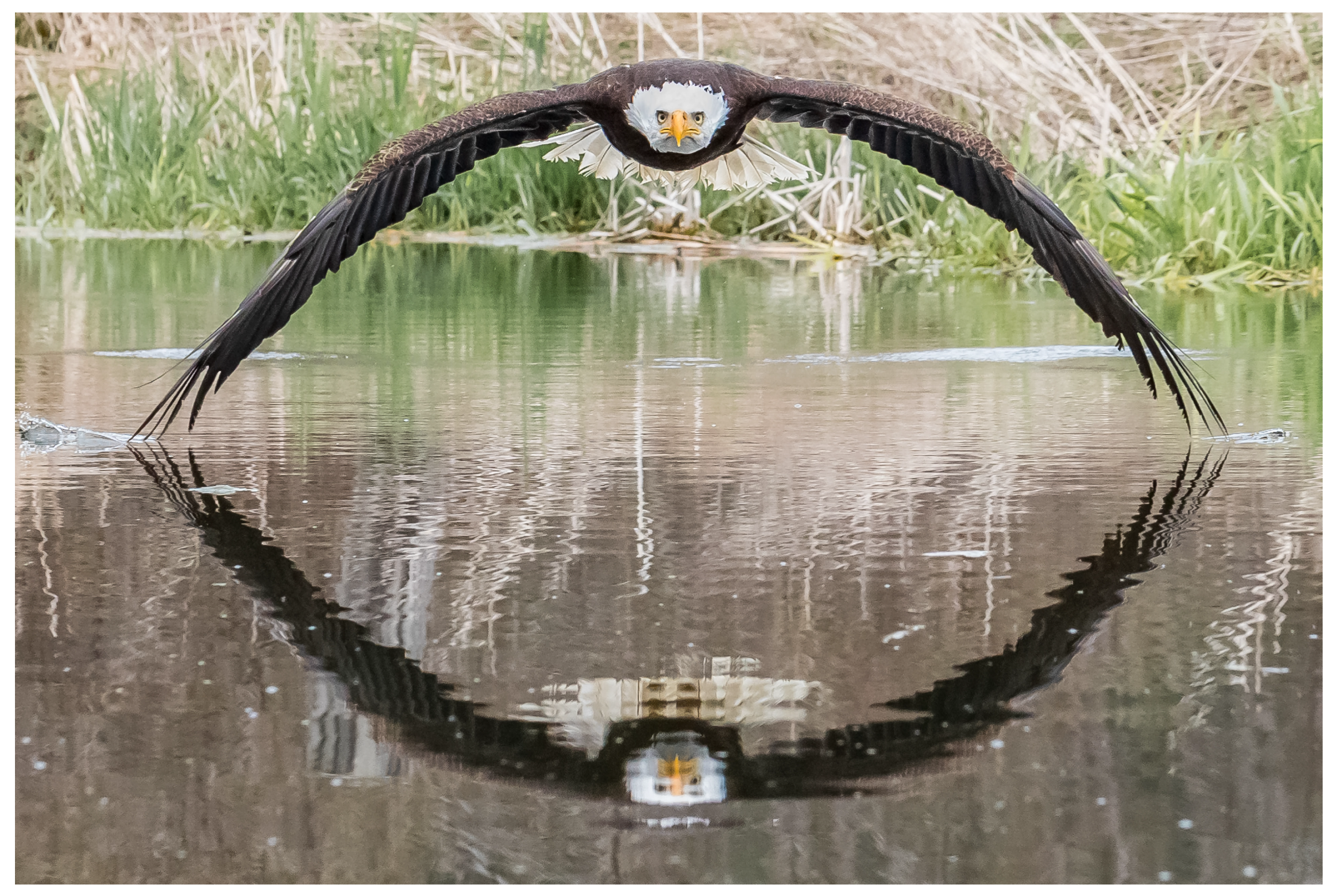 Applsci 15 09558 g002 Applsci 15 09558 g002