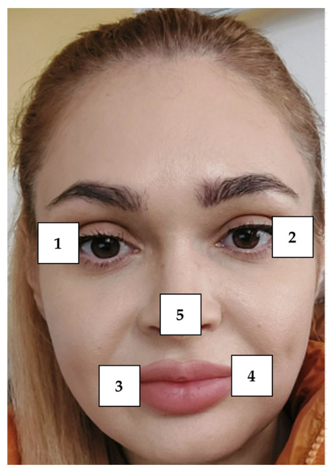 Applsci 15 09574 g002