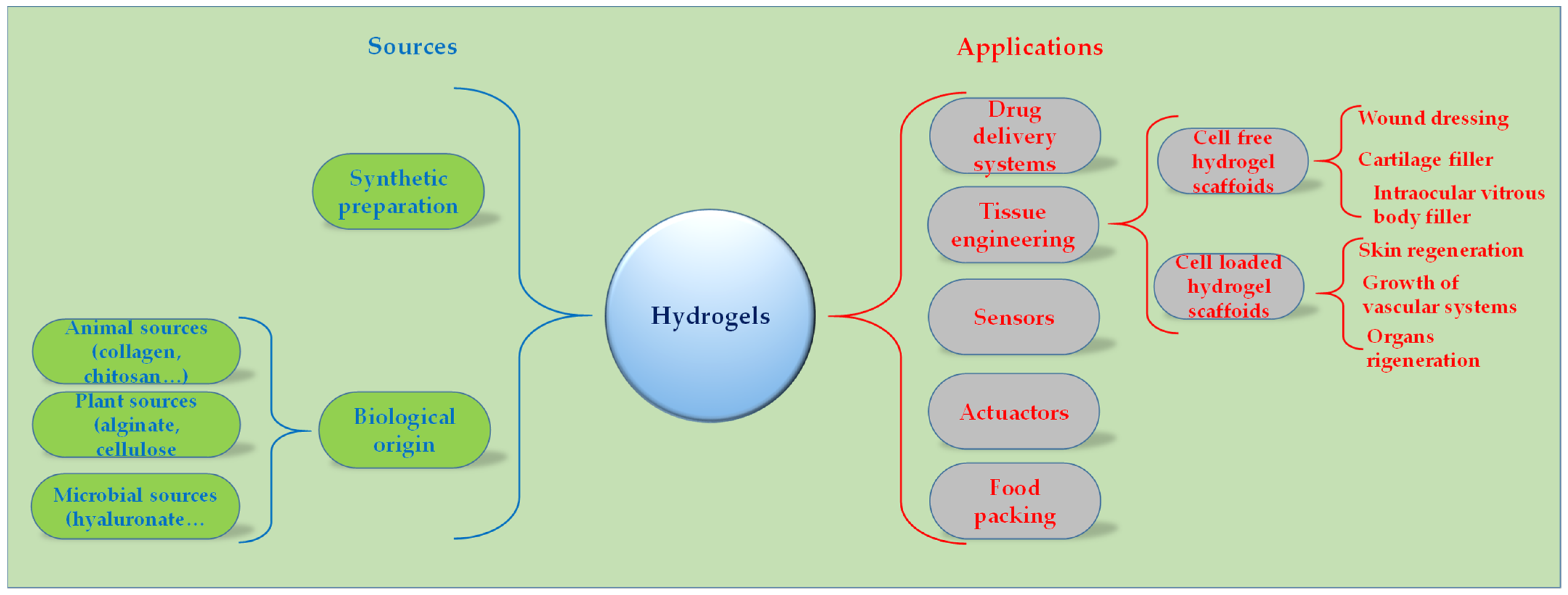 Applsci 15 09579 g001 Applsci 15 09579 g001