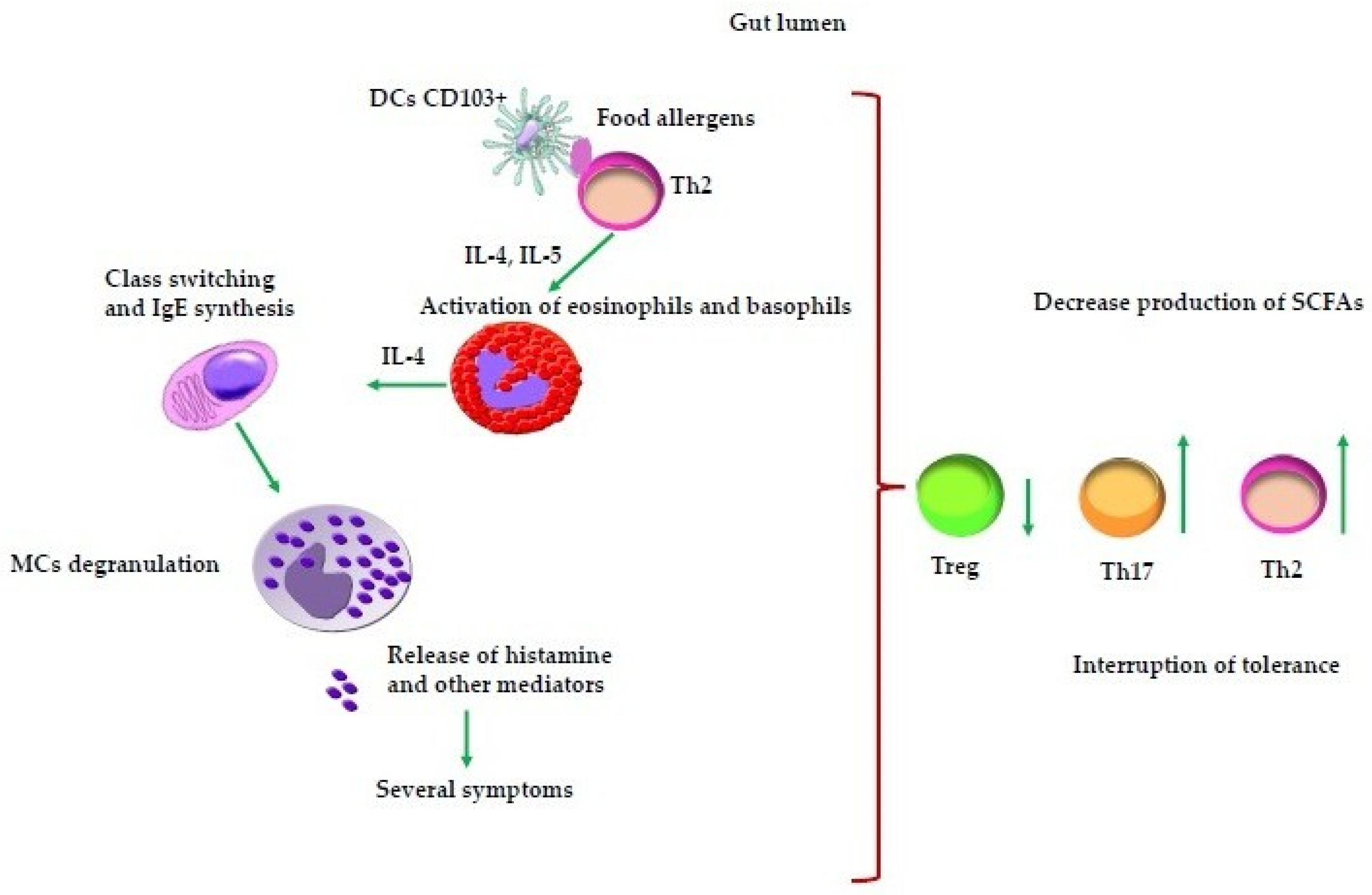Applsci 15 09590 g002 Applsci 15 09590 g002
