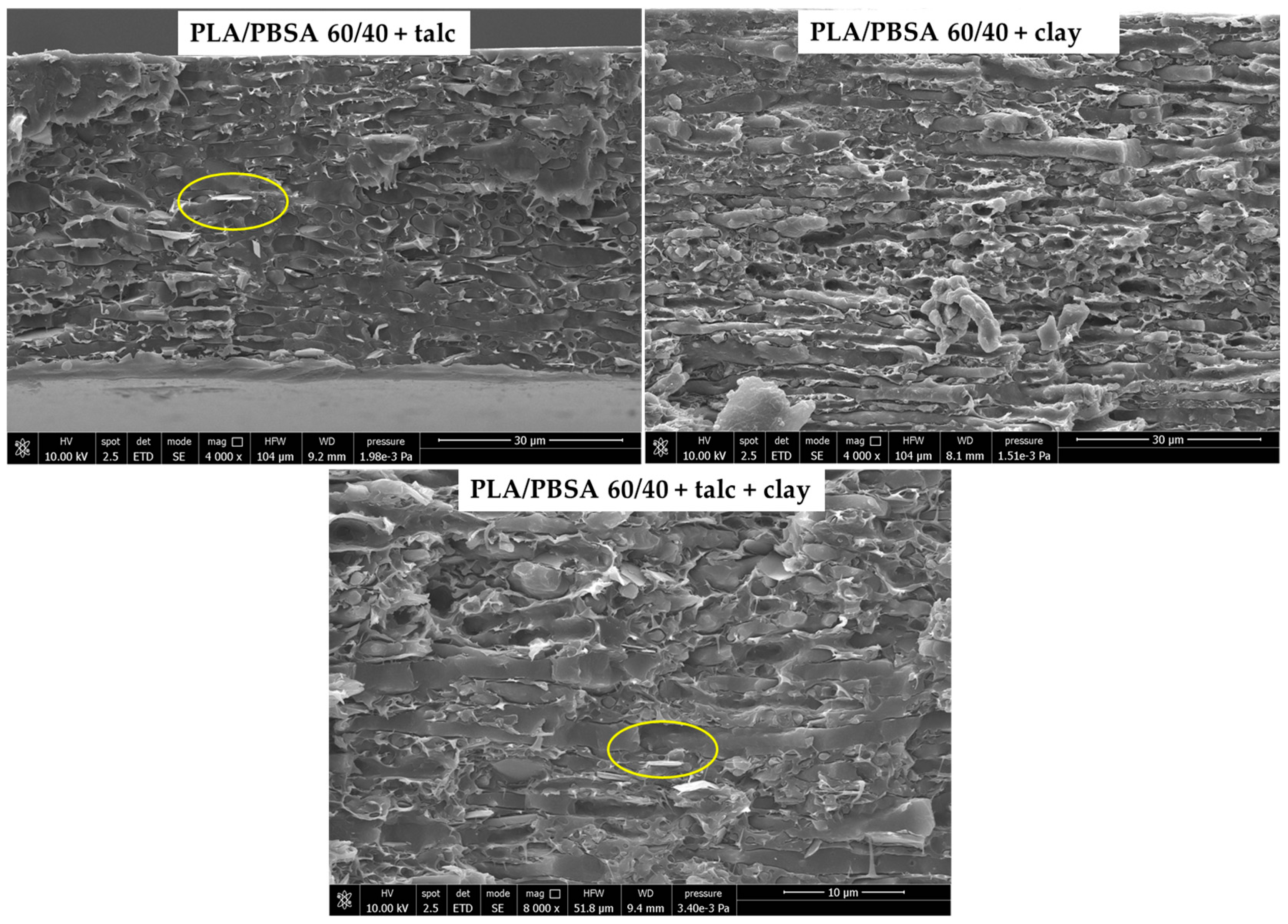 Applsci 15 09615 g002 Applsci 15 09615 g002