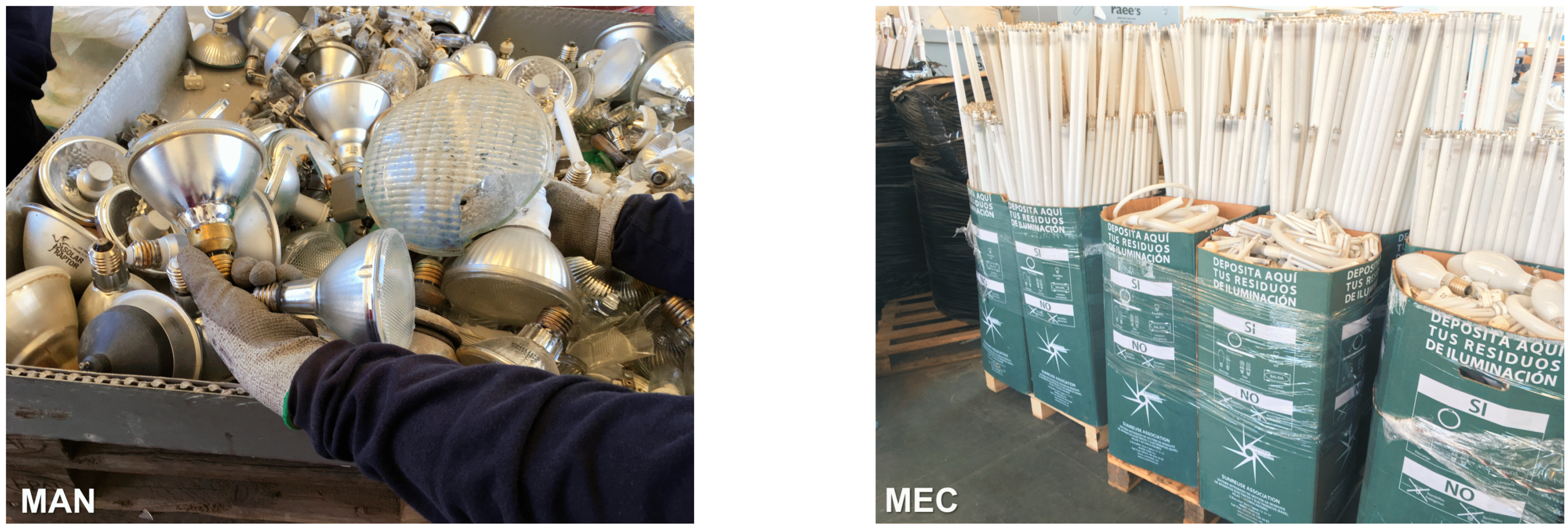 Applsci 15 09629 g001 Applsci 15 09629 g001