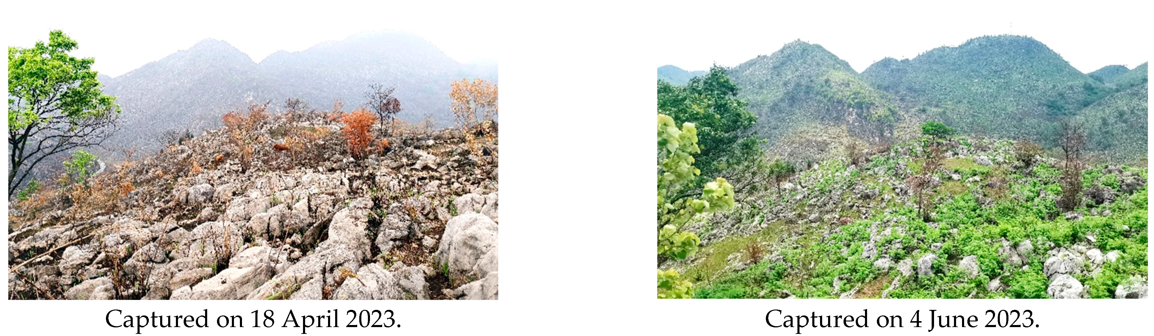 Applsci 15 09641 g003