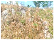 Applsci 15 09641 i002