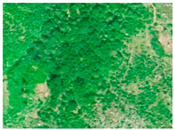 Applsci 15 09641 i005