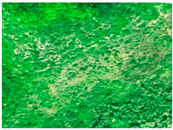 Applsci 15 09641 i006