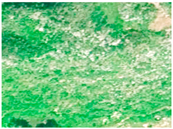 Applsci 15 09641 i007