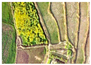 Applsci 15 09641 i009