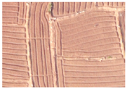 Applsci 15 09641 i015