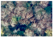 Applsci 15 09641 i018