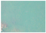 Applsci 15 09641 i025