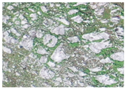 Applsci 15 09641 i033