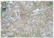 Applsci 15 09641 i035