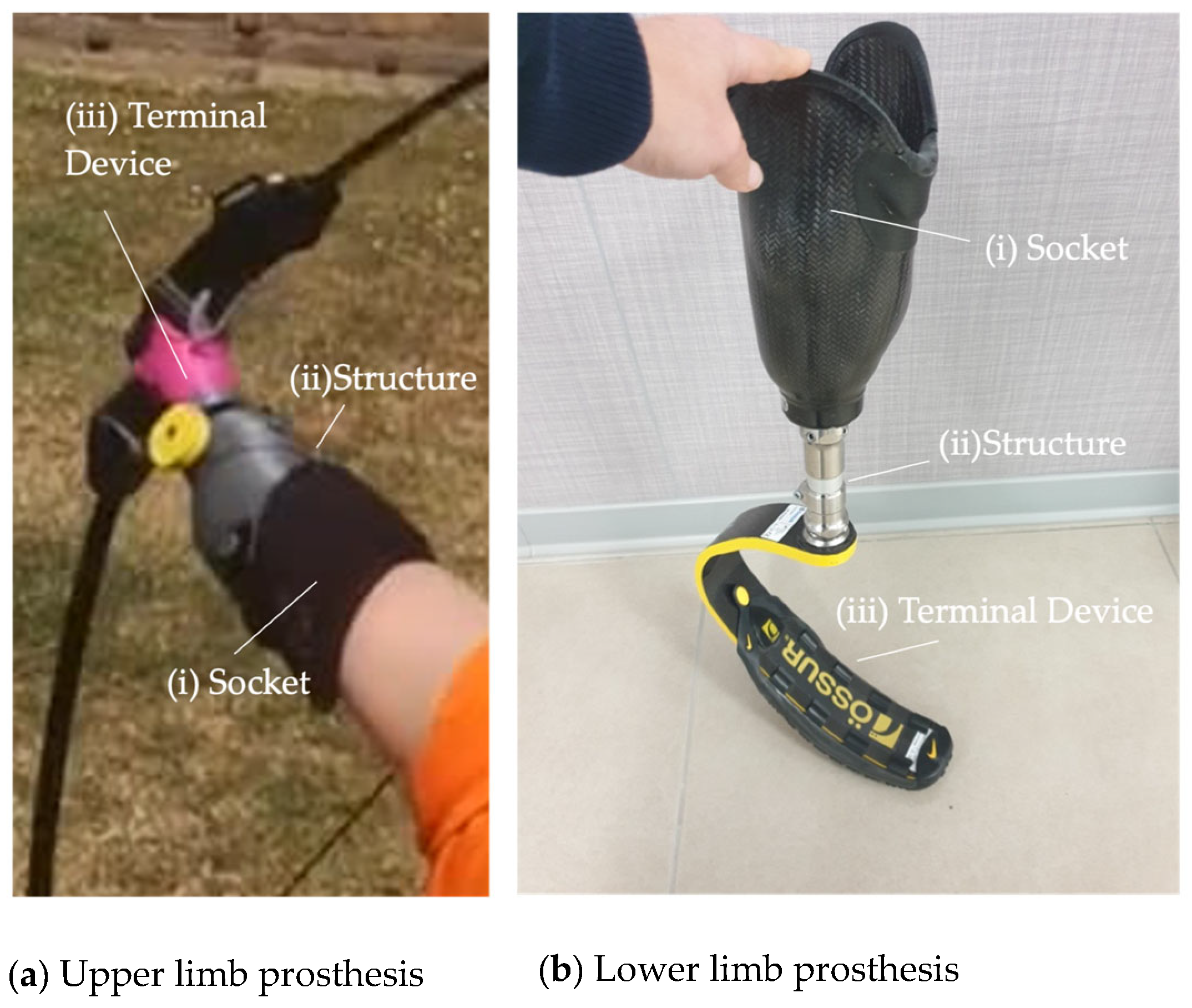 Applsci 15 09652 g002