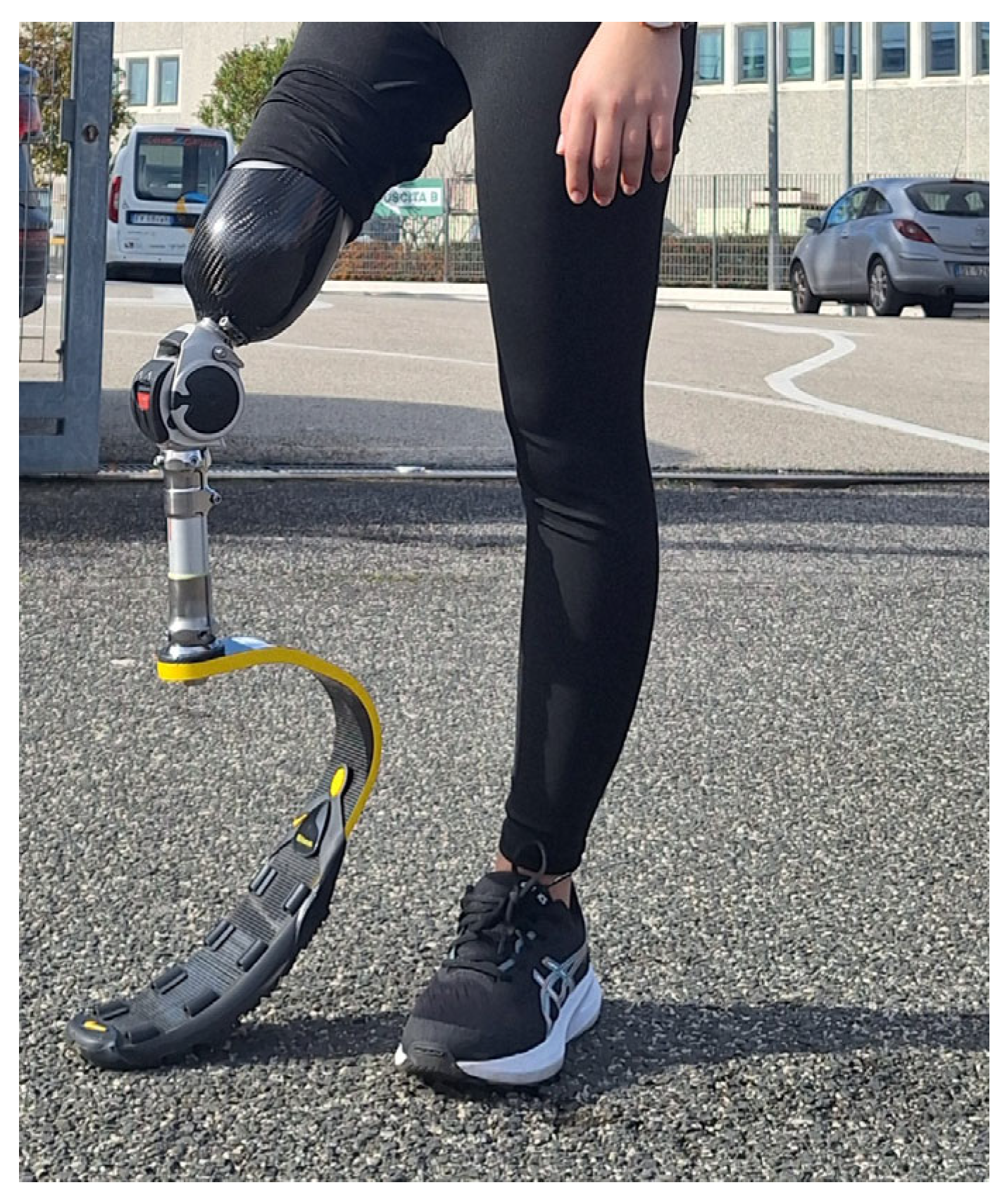 Applsci 15 09652 g004