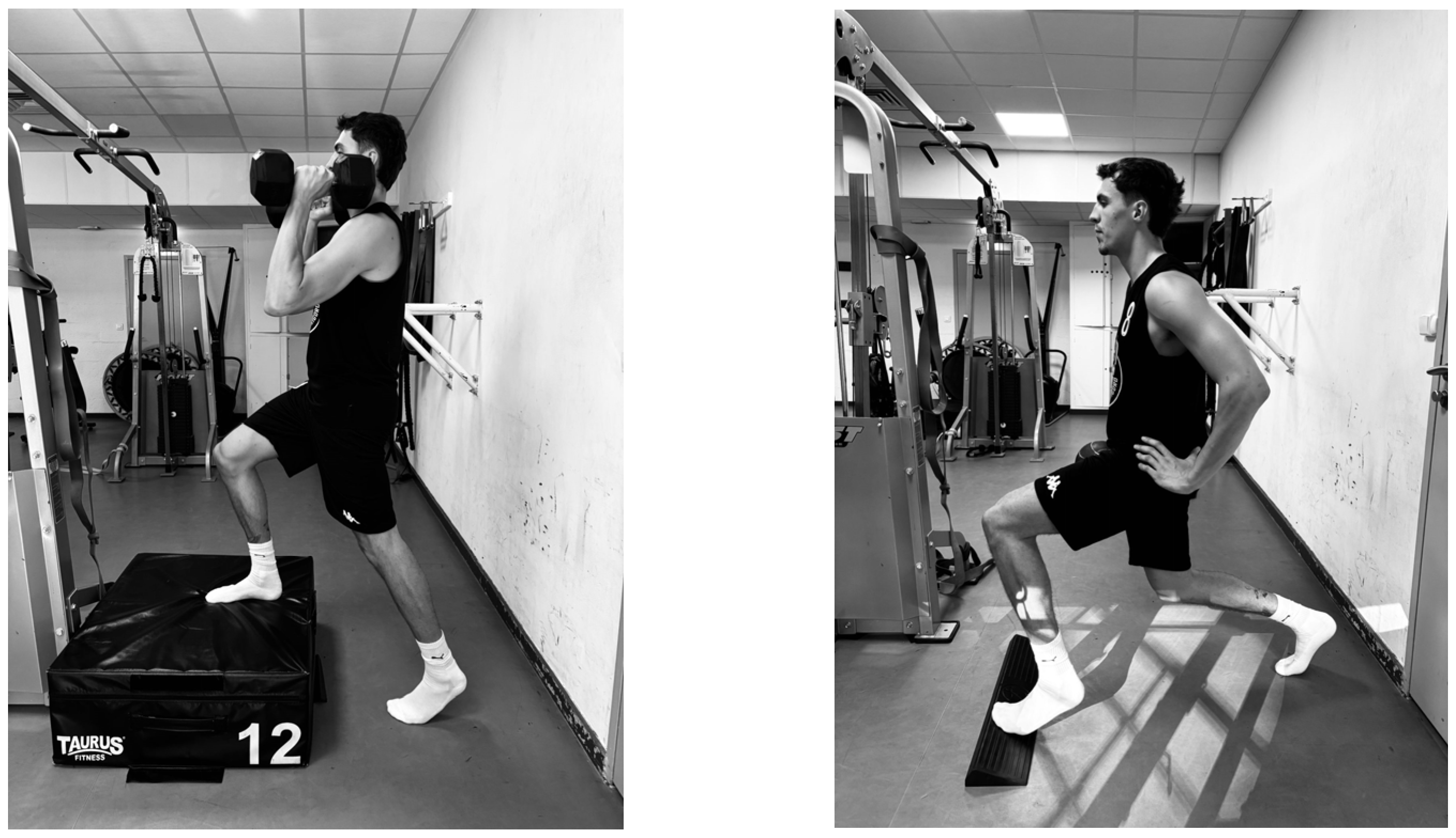 Applsci 15 09666 g002