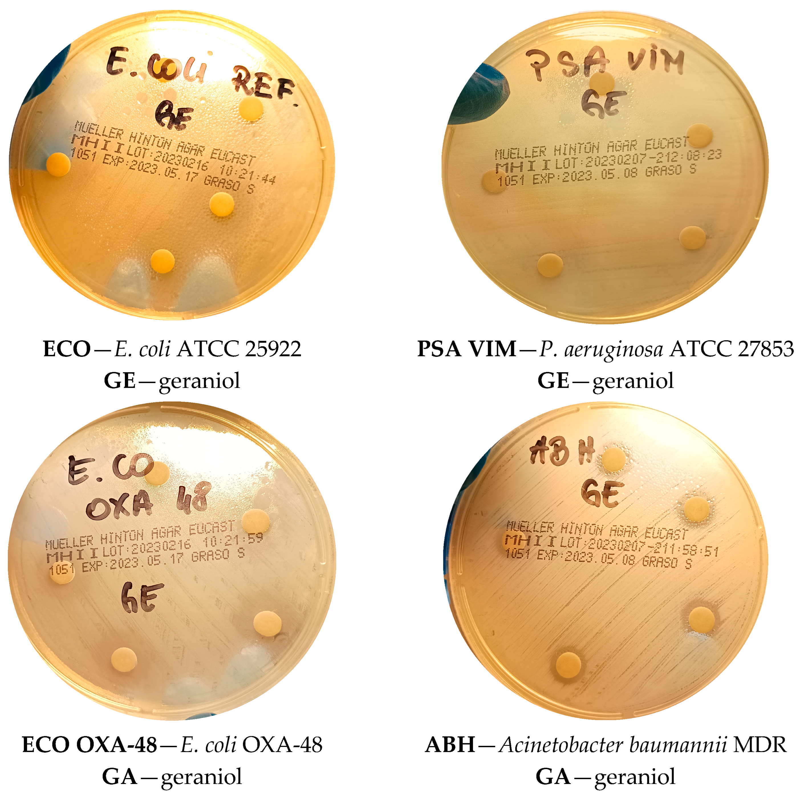 Applsci 15 09669 g004