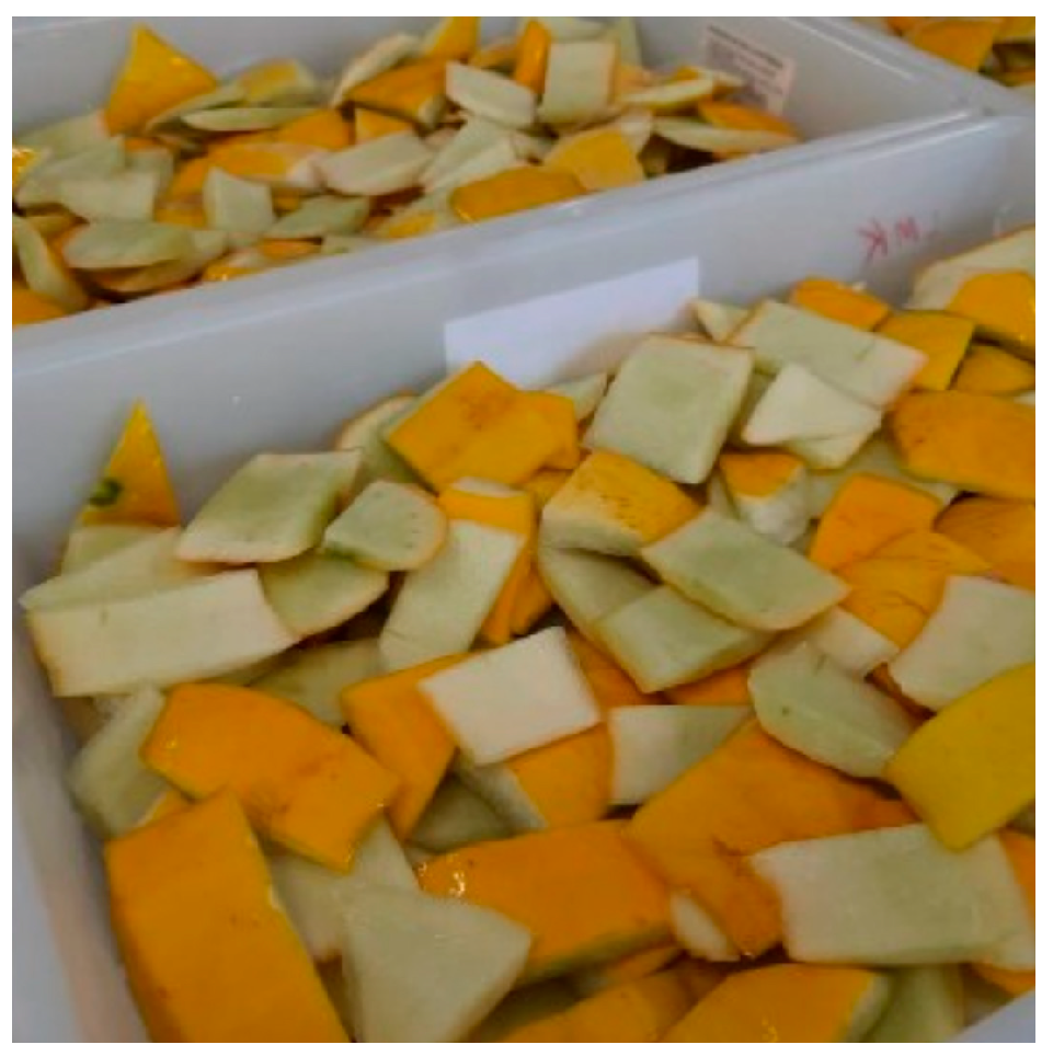 Applsci 15 09680 g001 Applsci 15 09680 g001