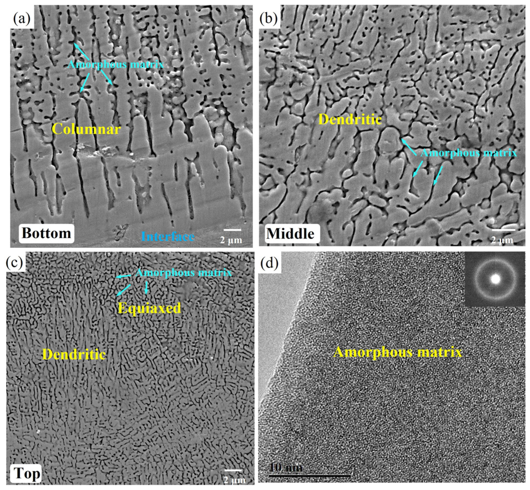 Applsci 15 09698 g004 Applsci 15 09698 g004