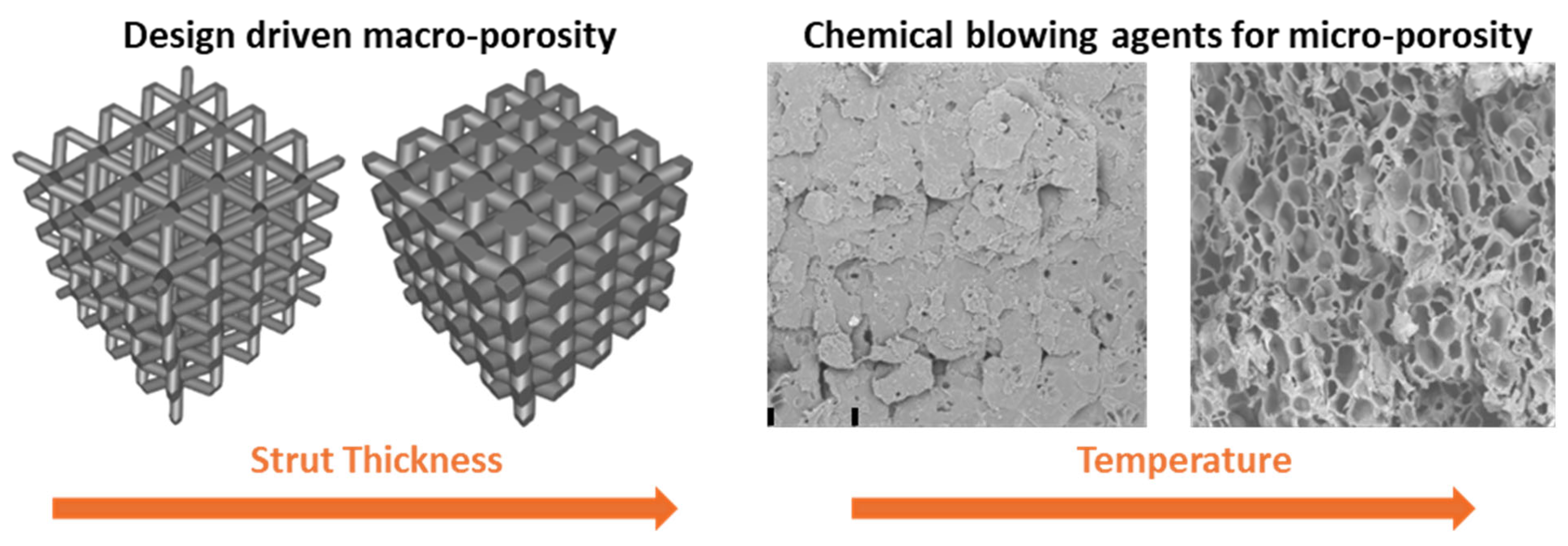 Applsci 15 09703 g010