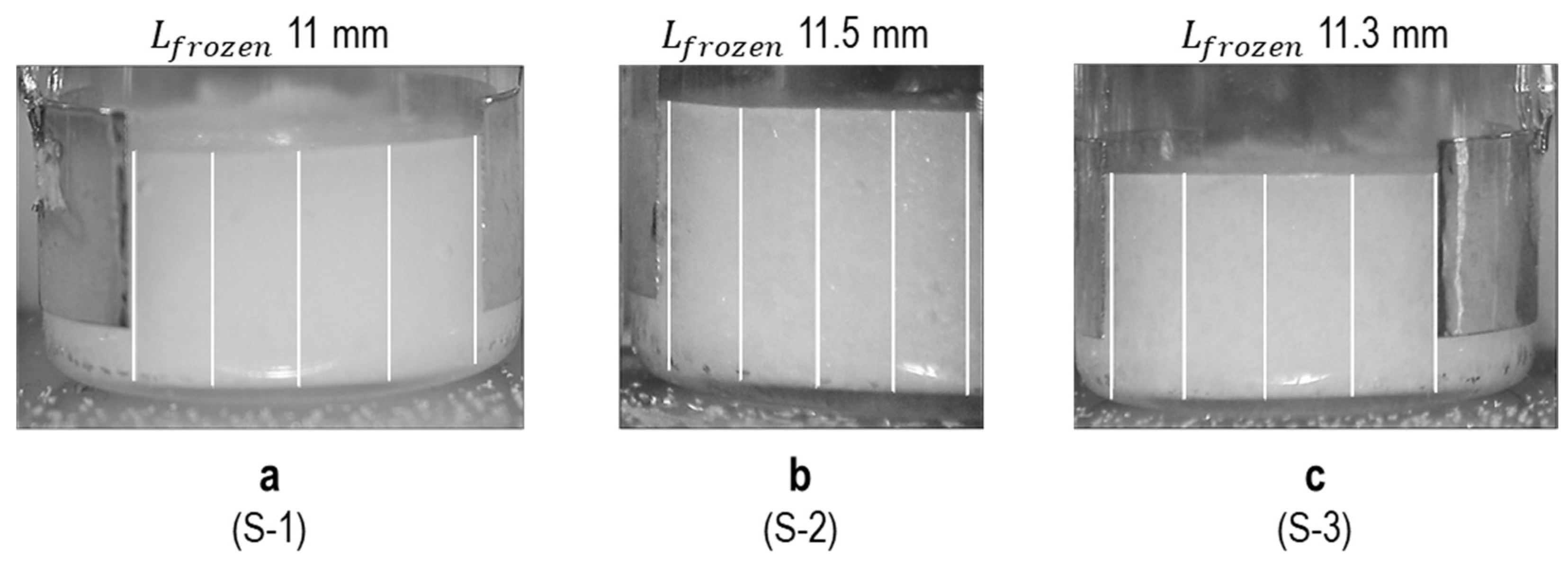 Applsci 15 09728 g010 Applsci 15 09728 g010