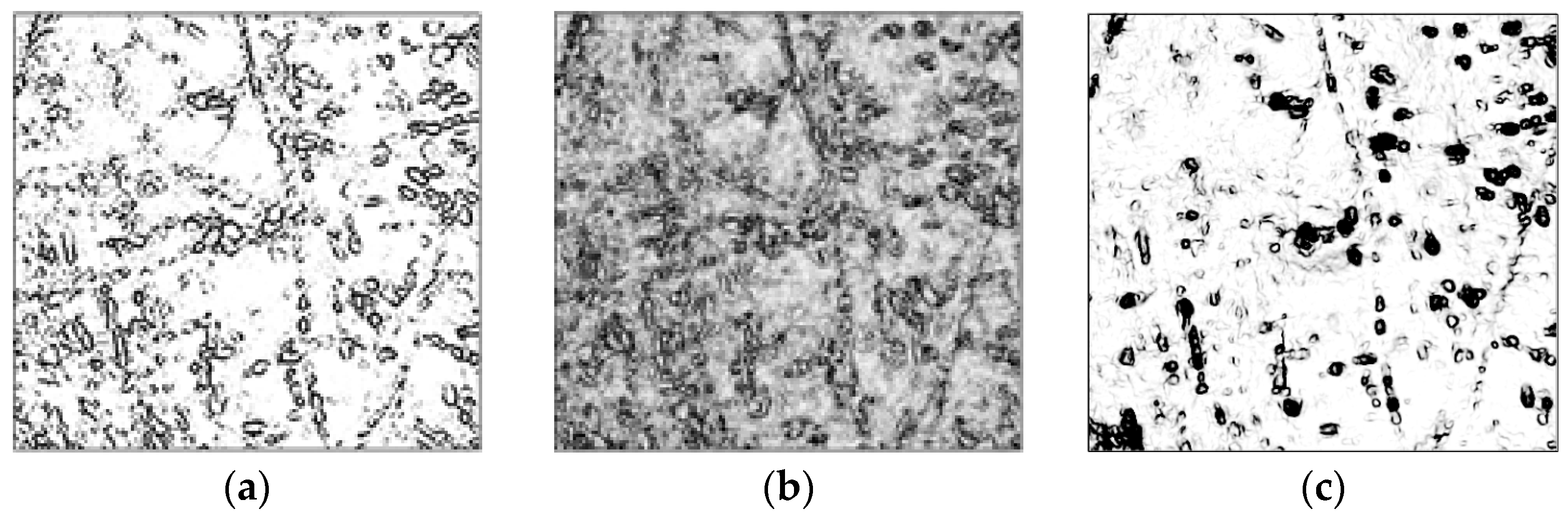 Applsci 15 09738 g006