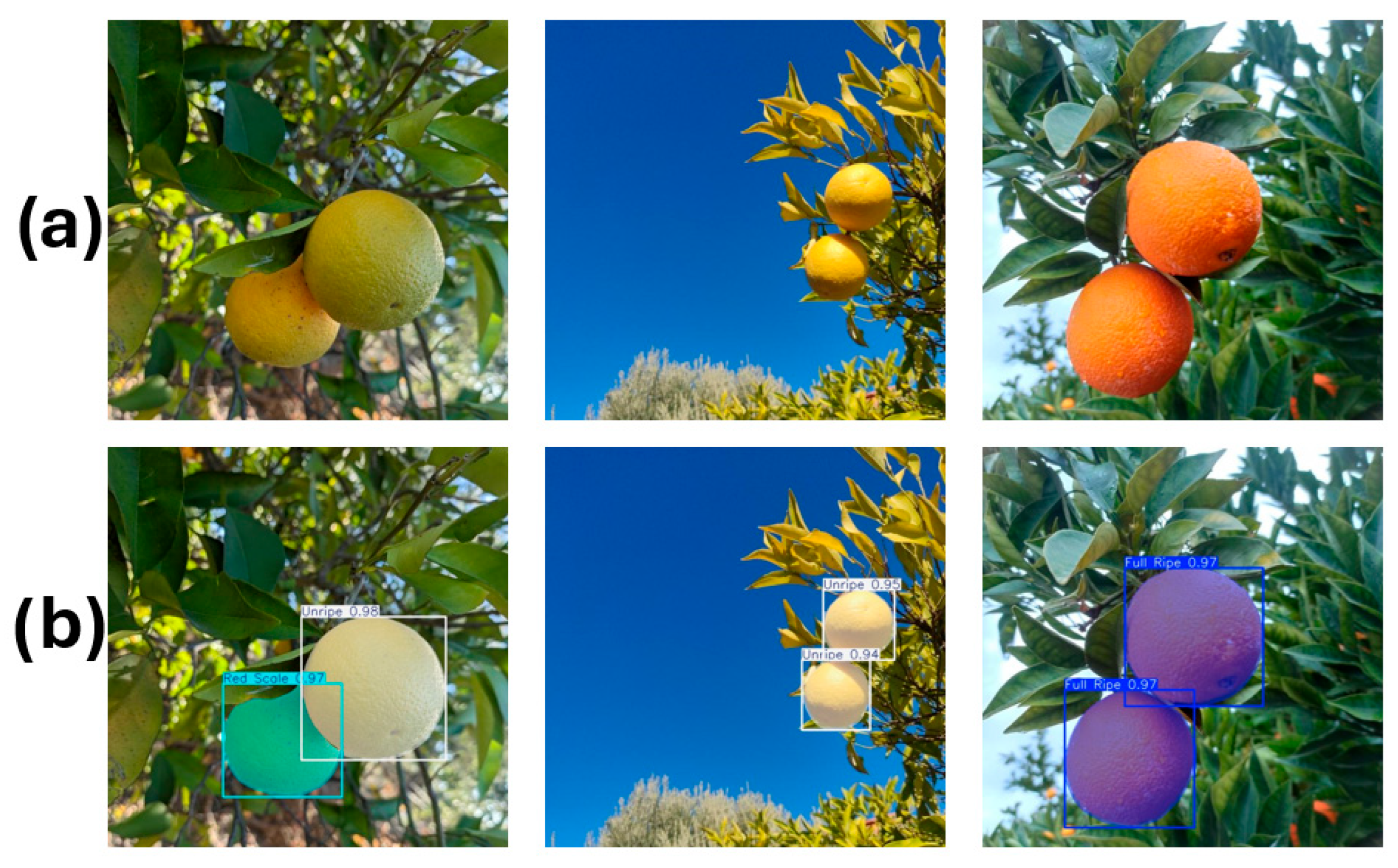 Applsci 15 09742 g008