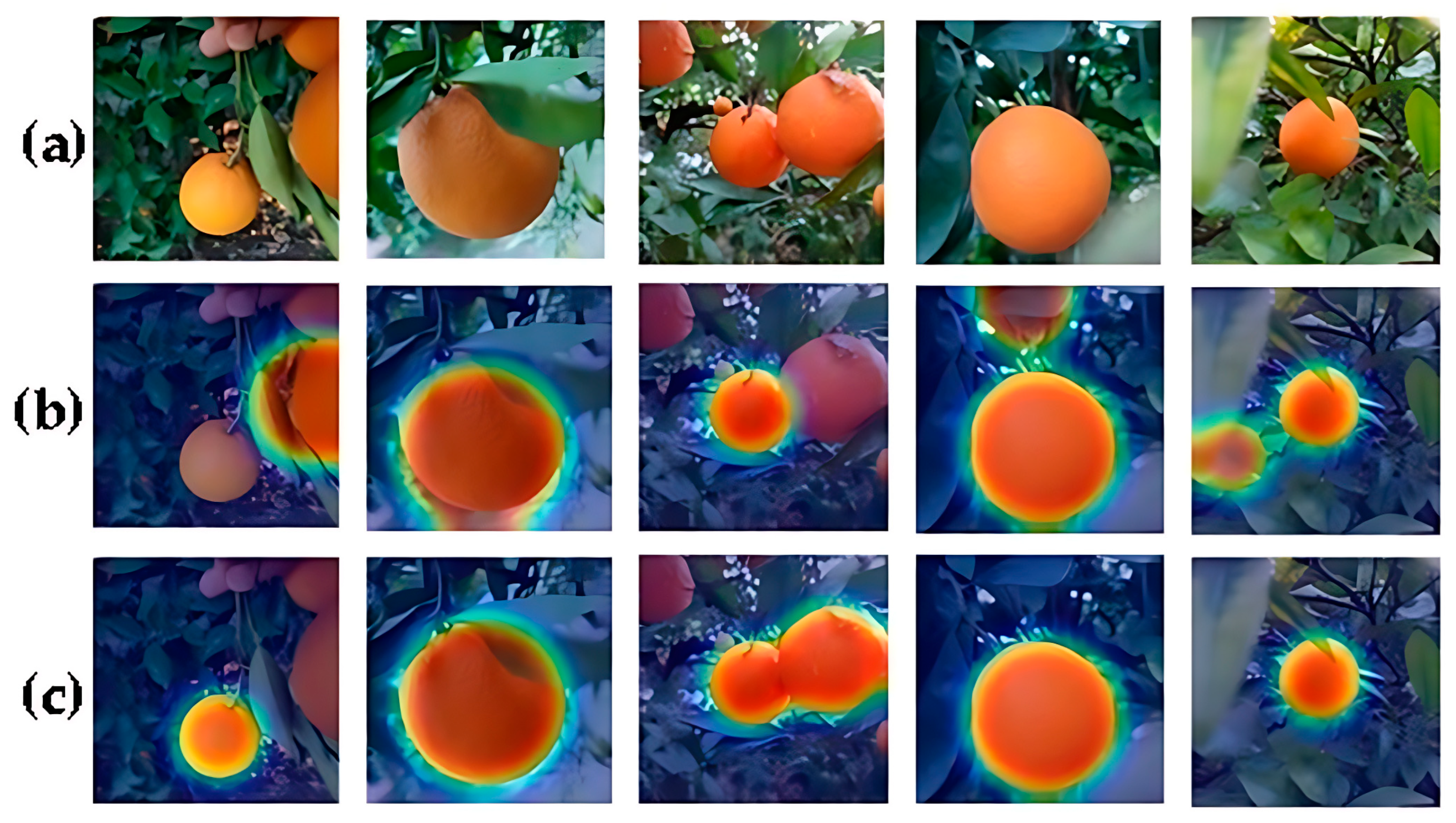 Applsci 15 09742 g010