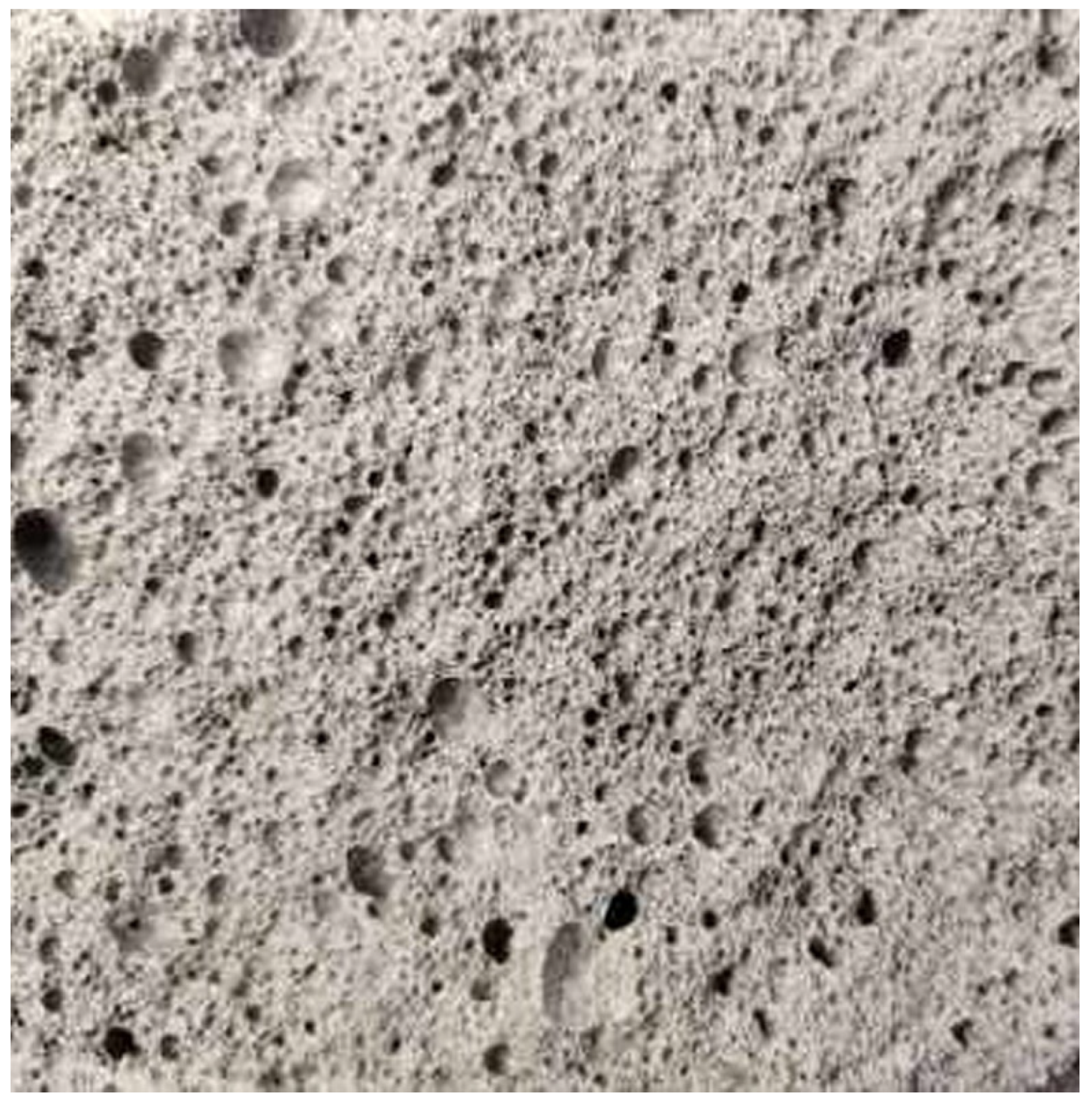 Applsci 15 09771 g001 Applsci 15 09771 g001