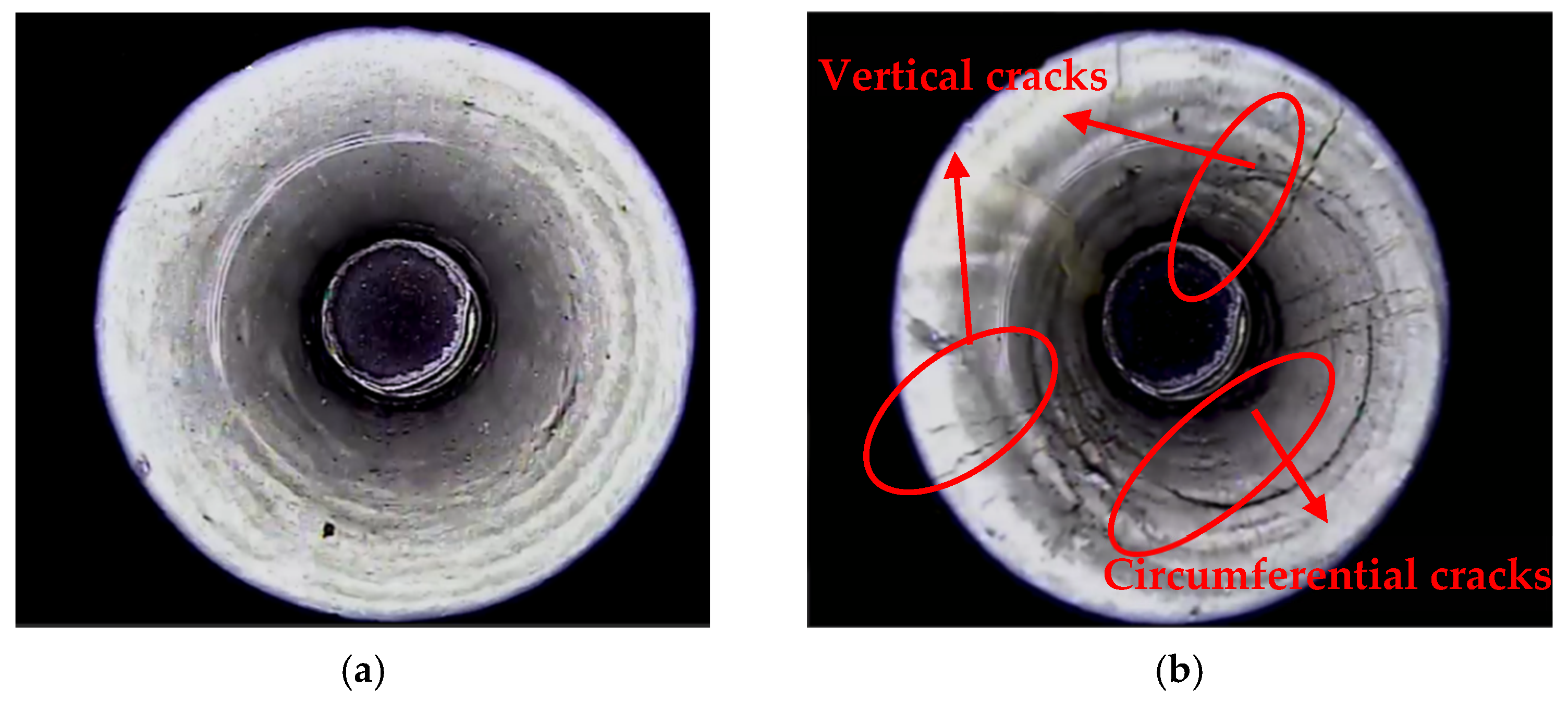 Applsci 15 09779 g012