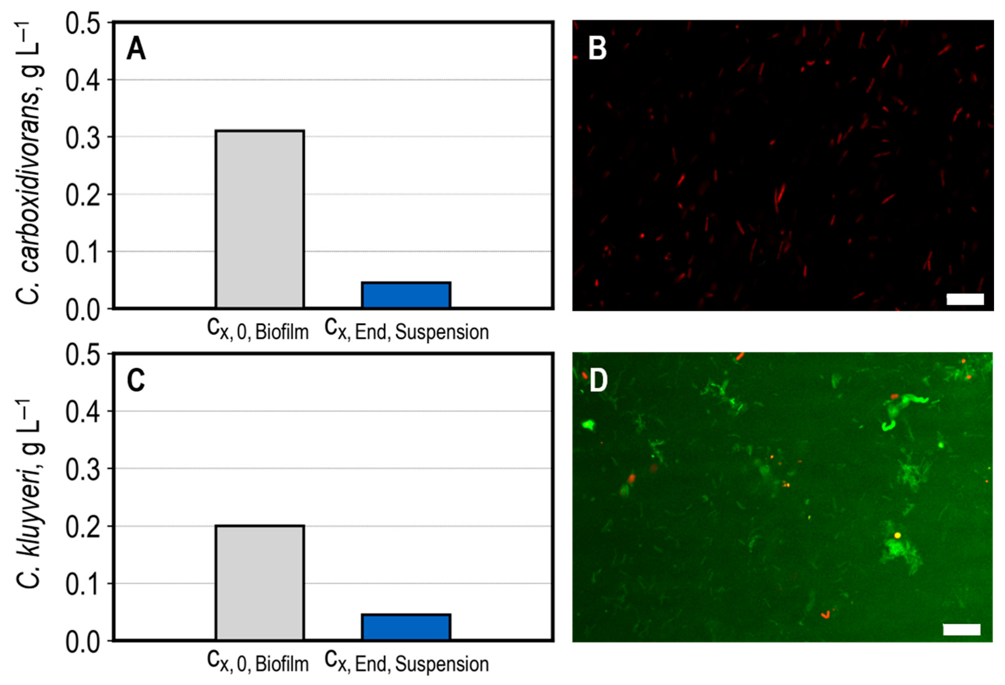 Applsci 15 09800 g005