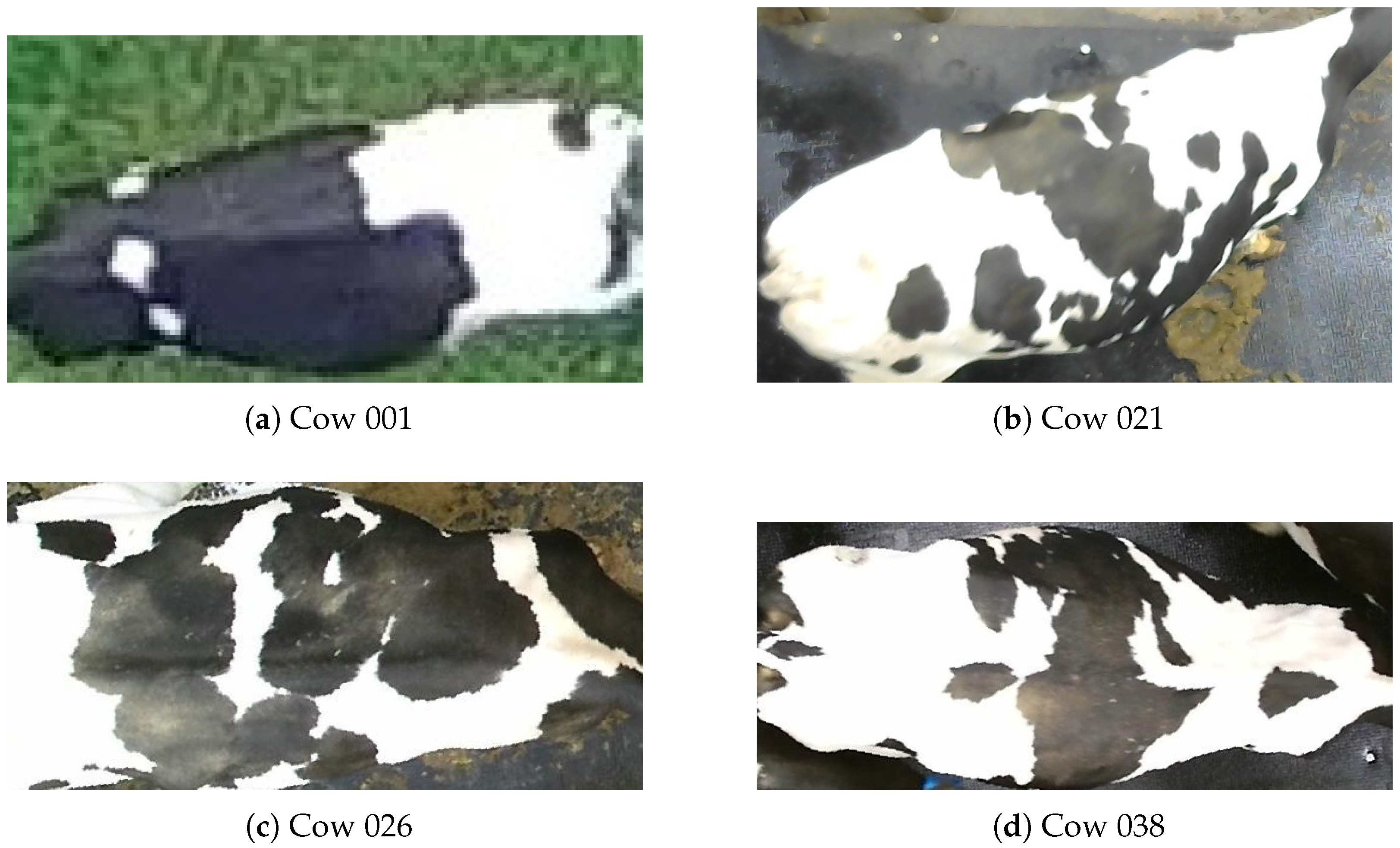 Applsci 15 09809 g003