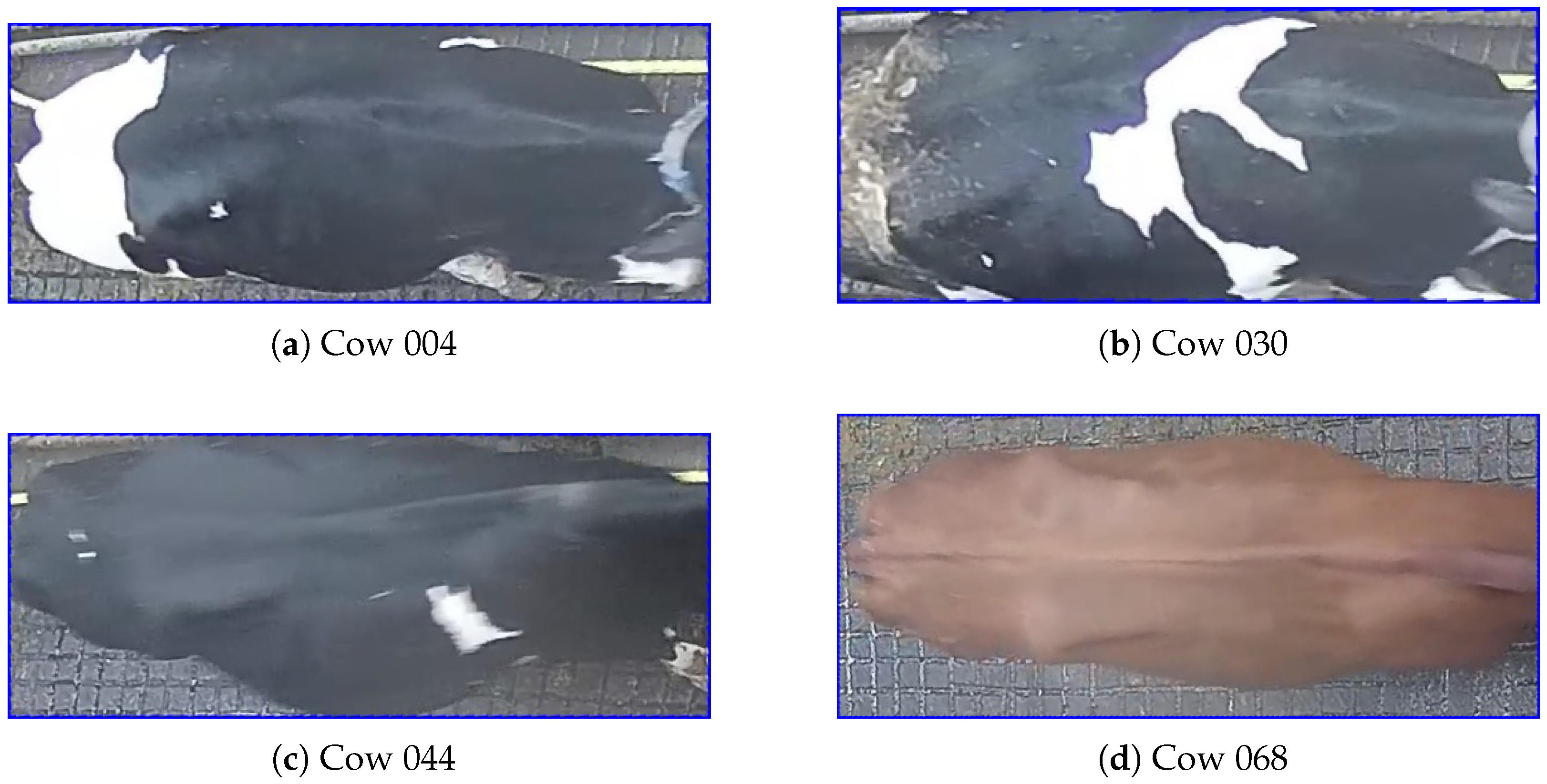 Applsci 15 09809 g004