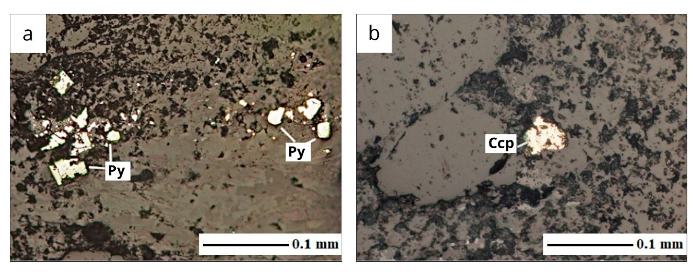 Applsci 15 09816 g016