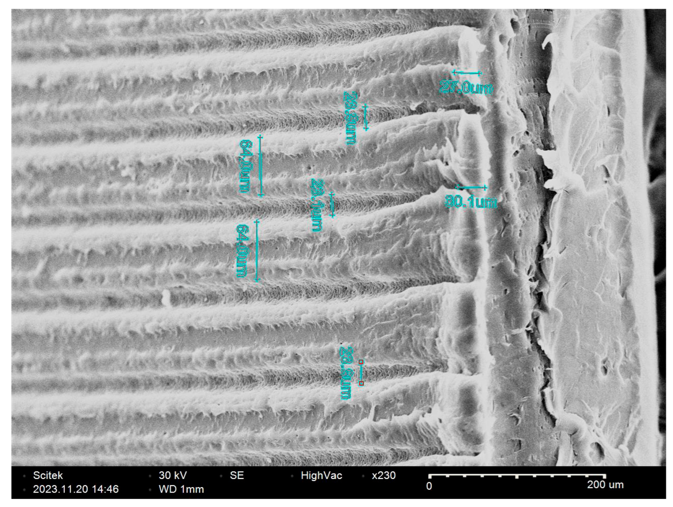 Applsci 15 09818 g002