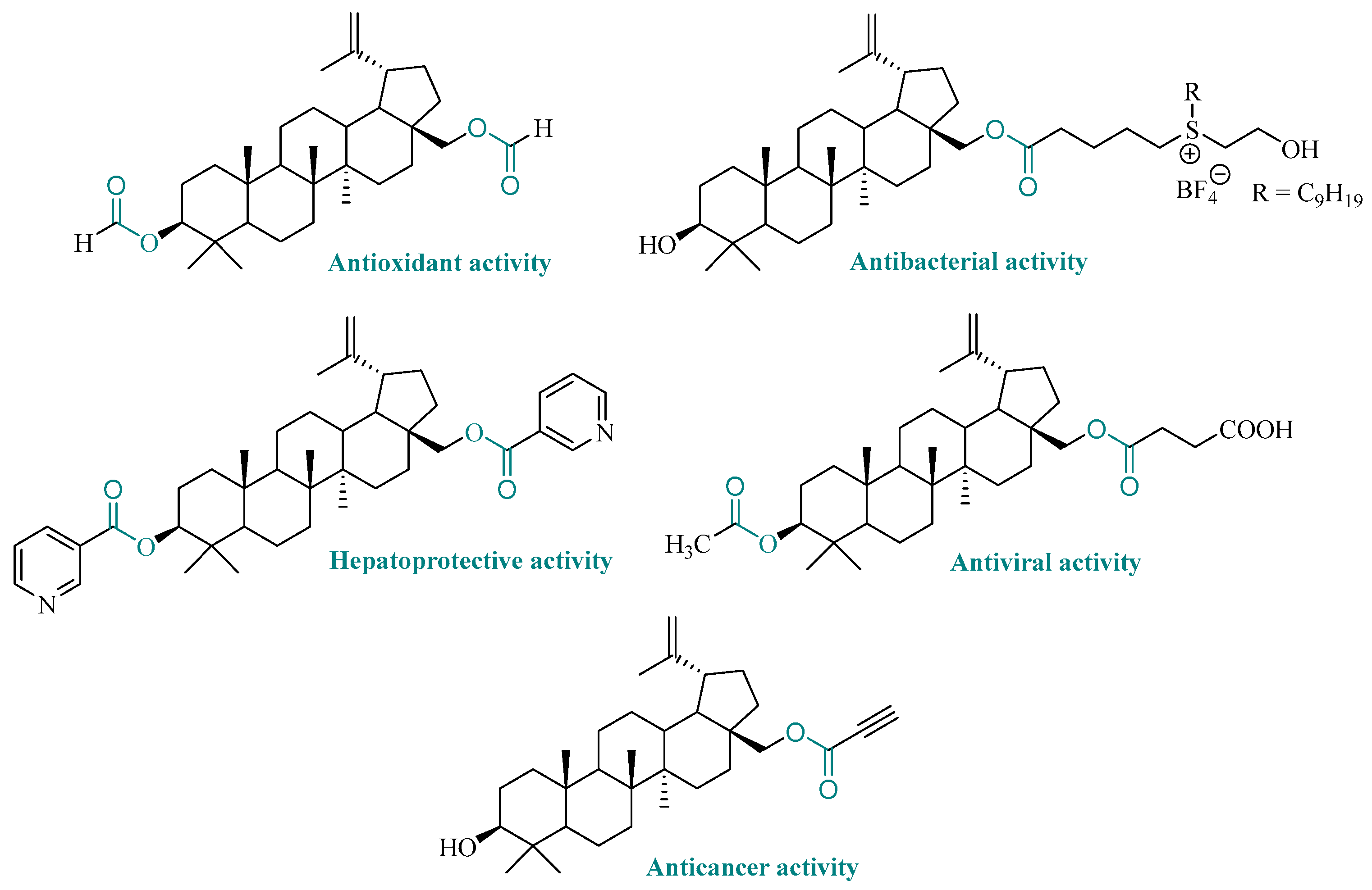 Applsci 15 09824 g001 Applsci 15 09824 g001