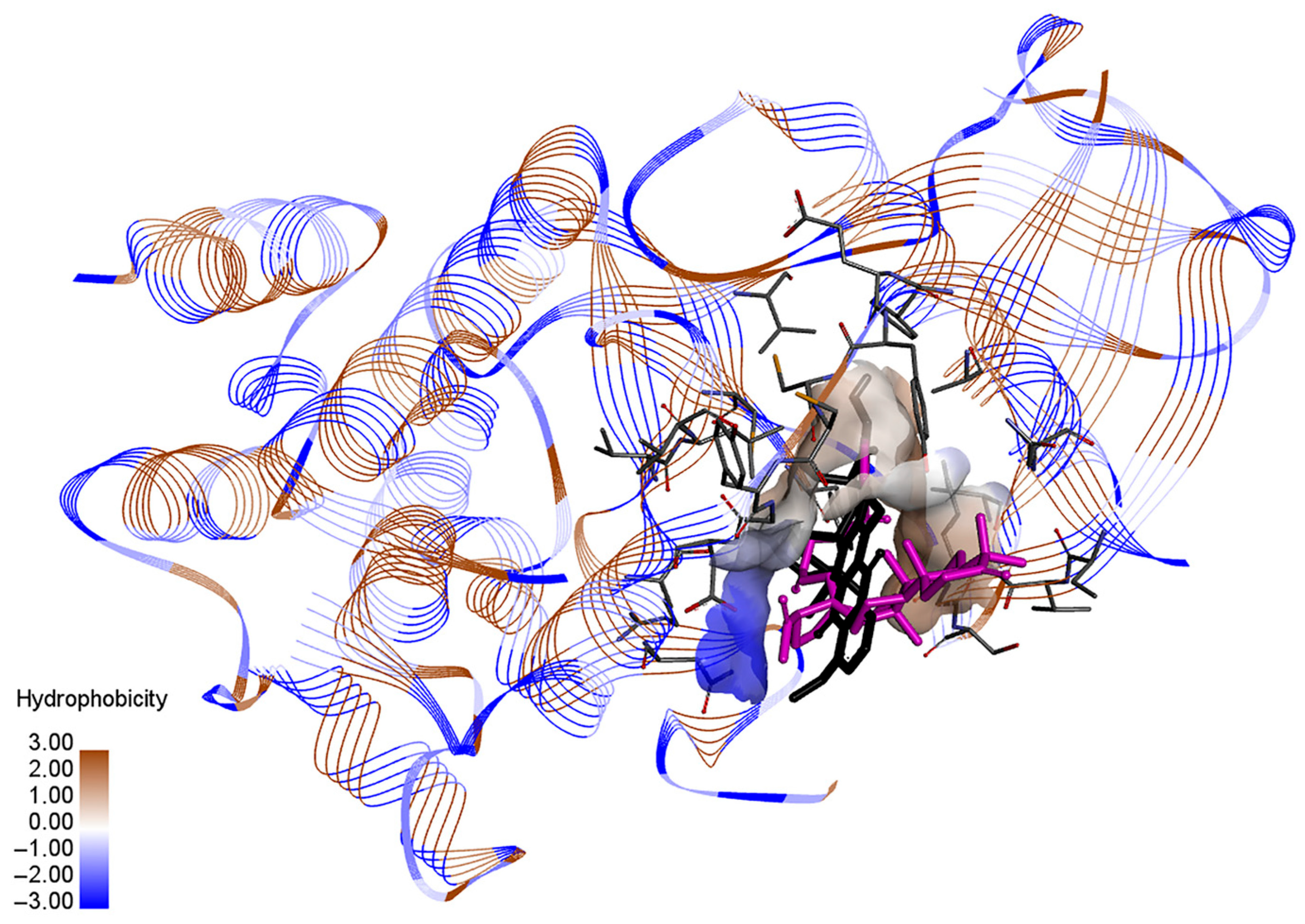 Applsci 15 09824 g004 Applsci 15 09824 g004