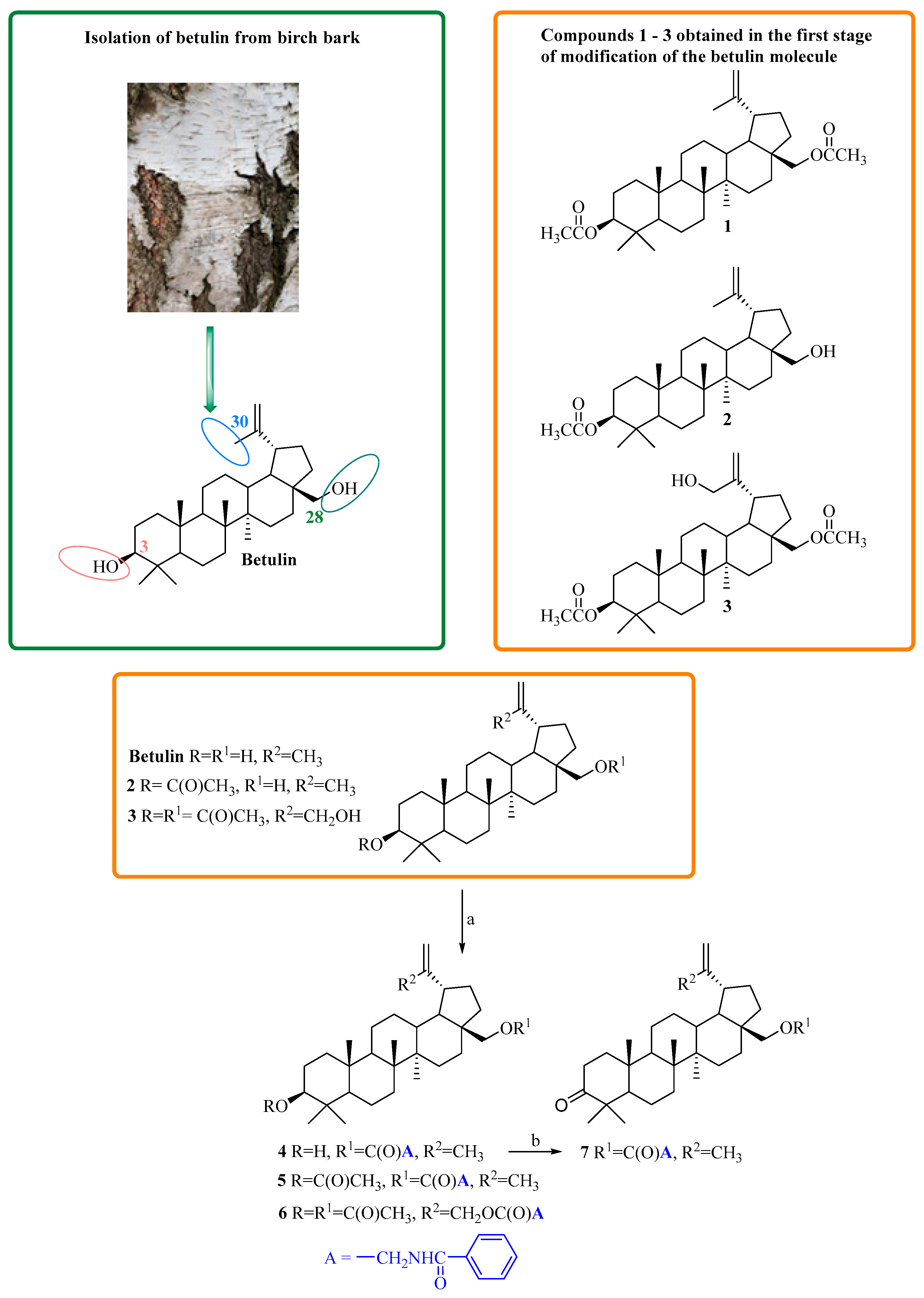 Applsci 15 09824 sch001 Applsci 15 09824 sch001