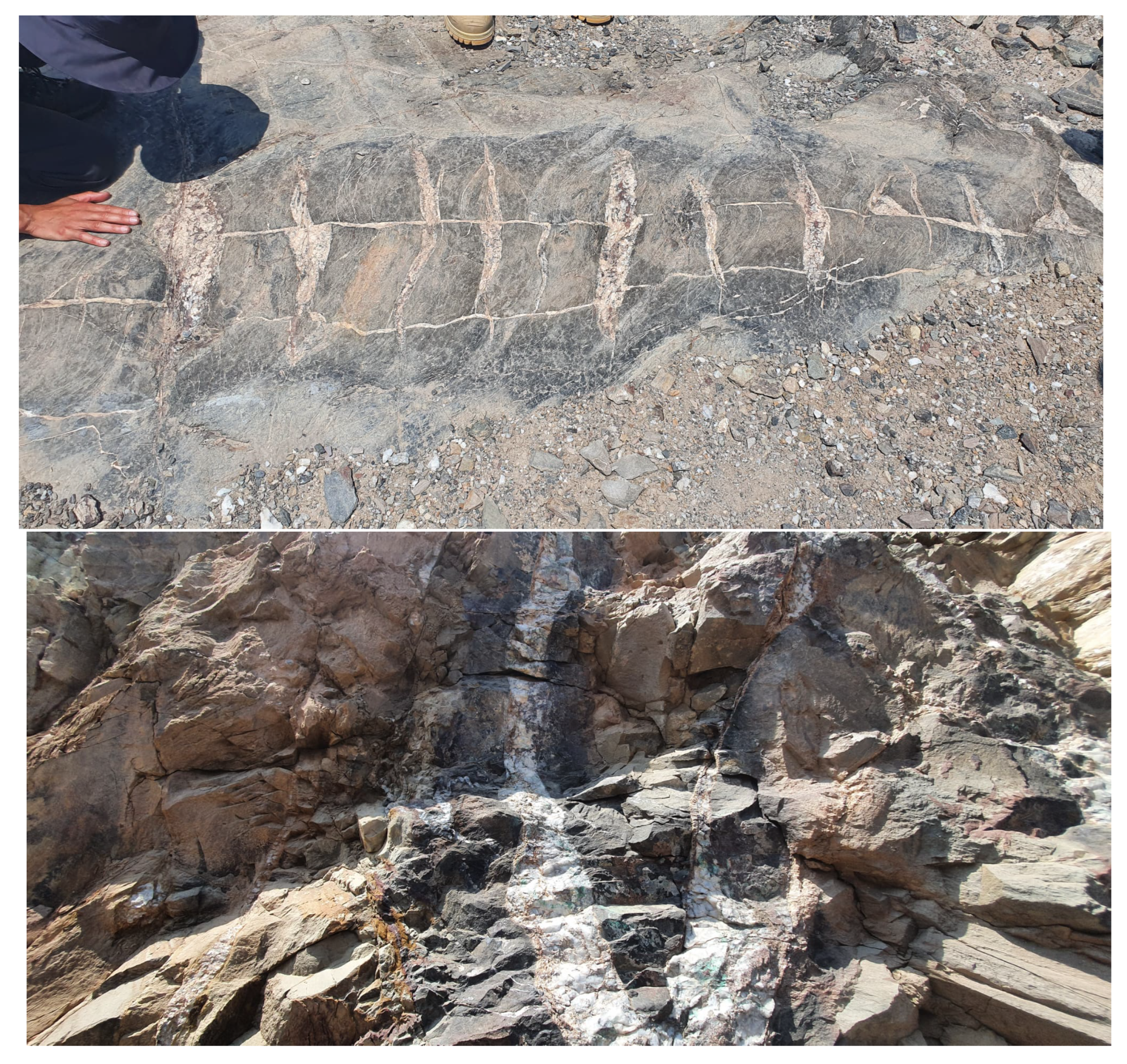 Applsci 15 09828 g003